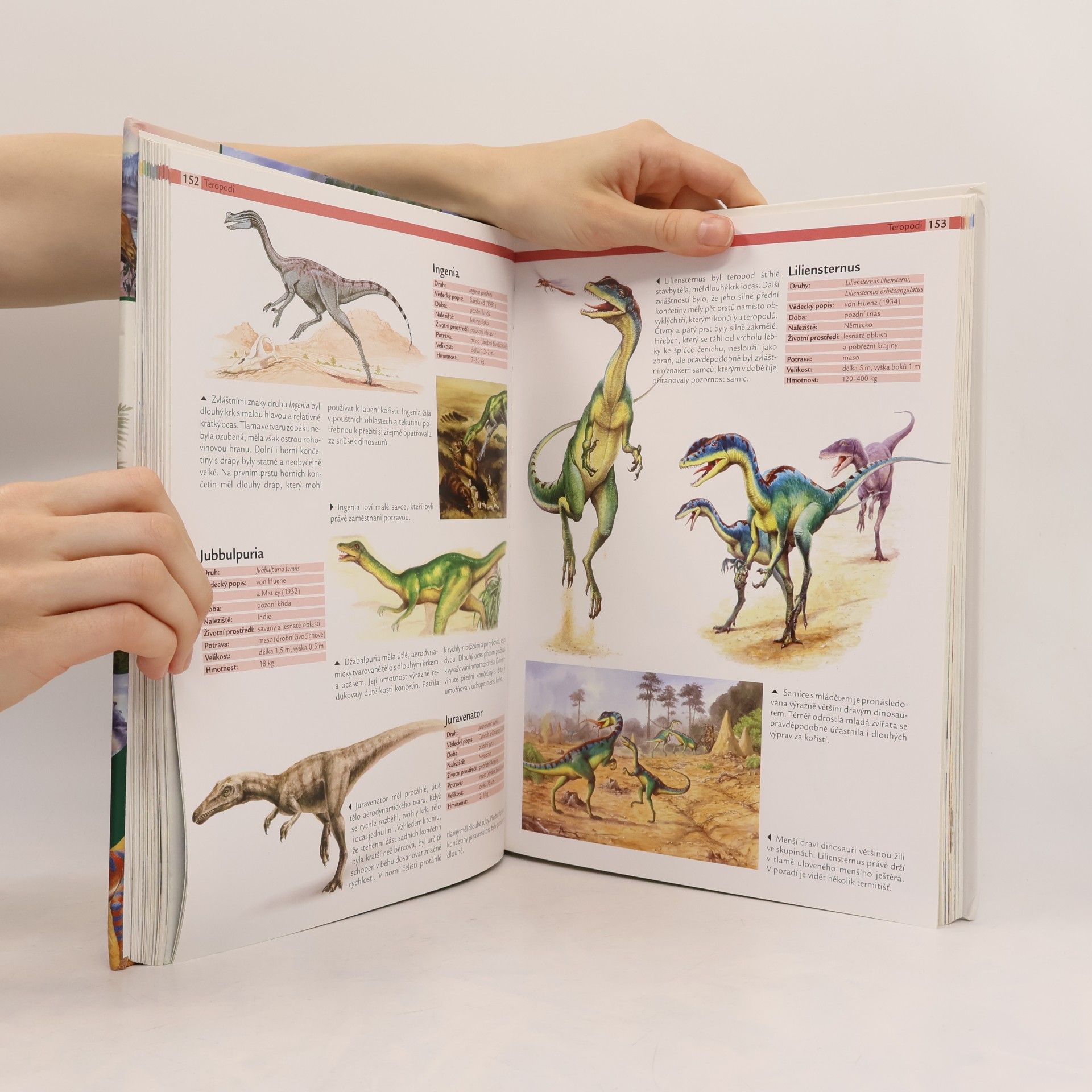 Helmut Werner 1000 dinosaurů