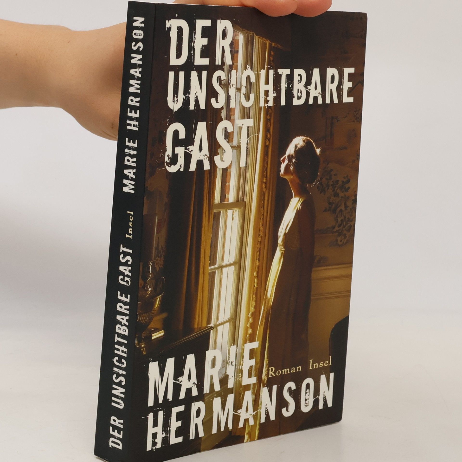 Marie Hermanson Der unsichtbare Gast