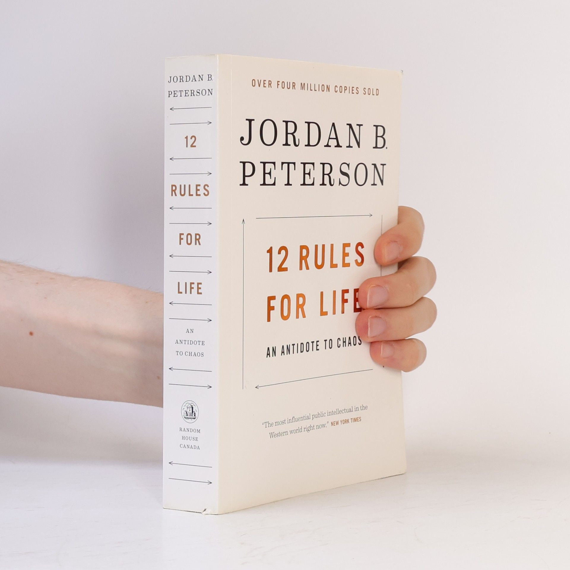Jordan Peterson 12 Rules for Life