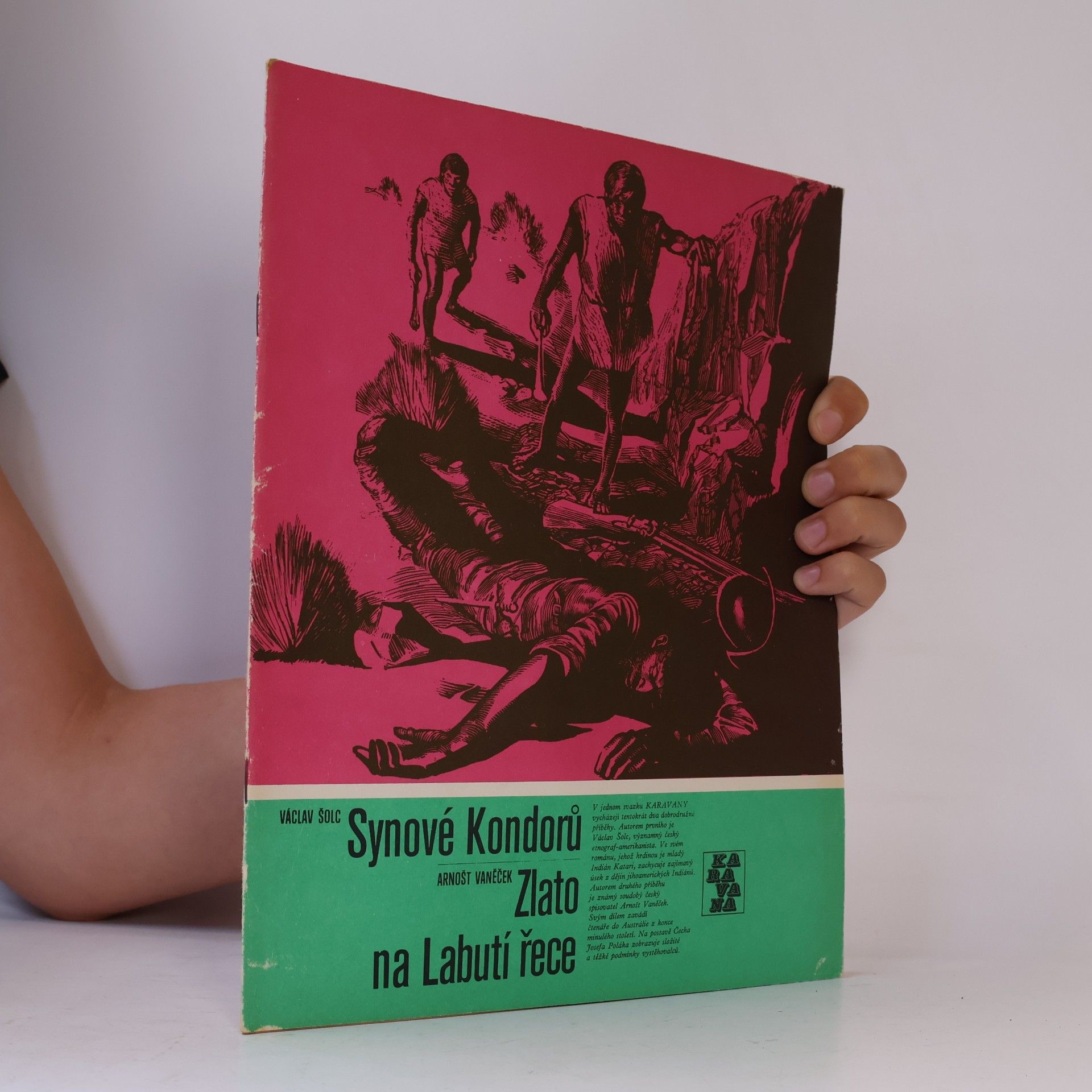 Synové kondorů. Zlato na labutí řece