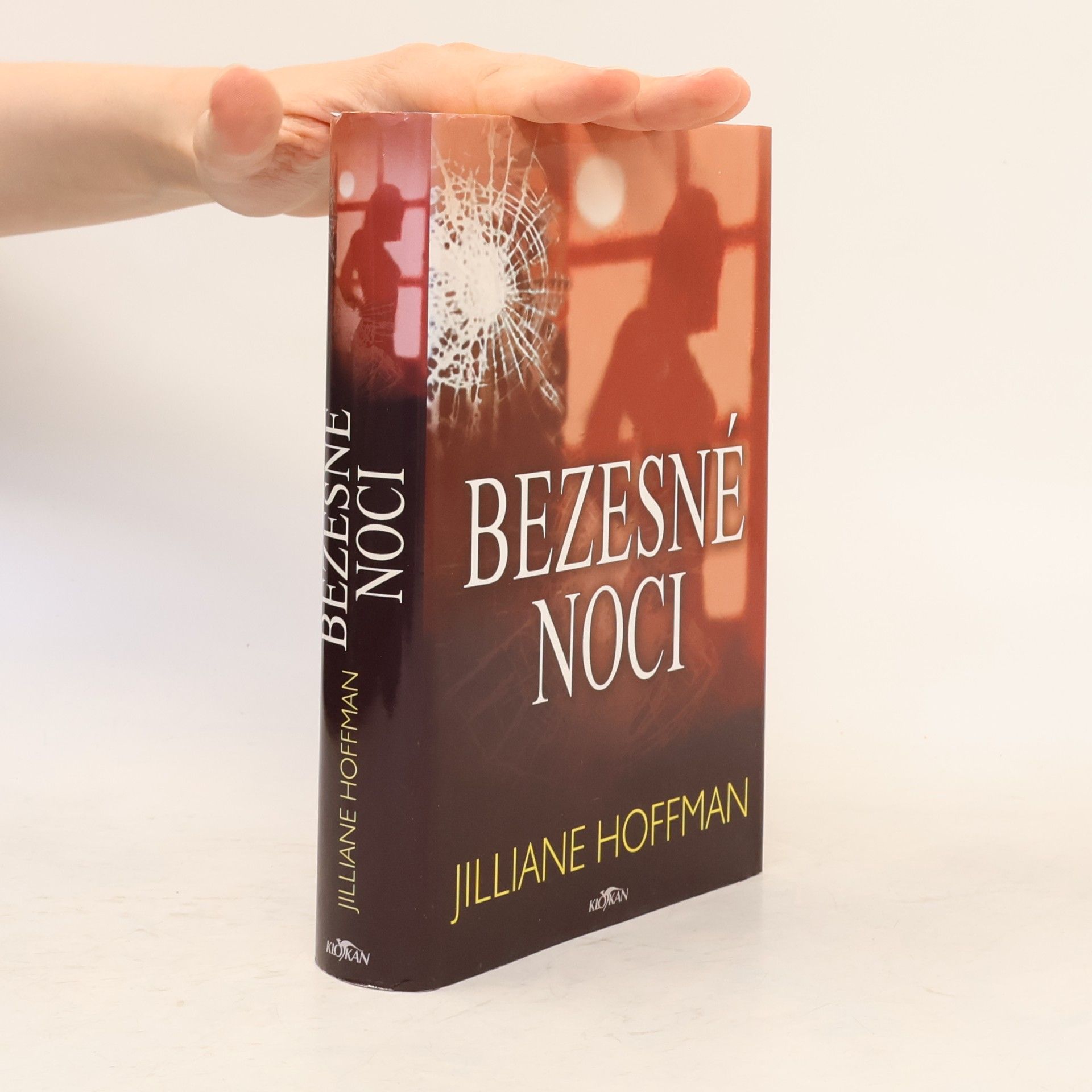 Jilliane Hoffman Bezesné noci