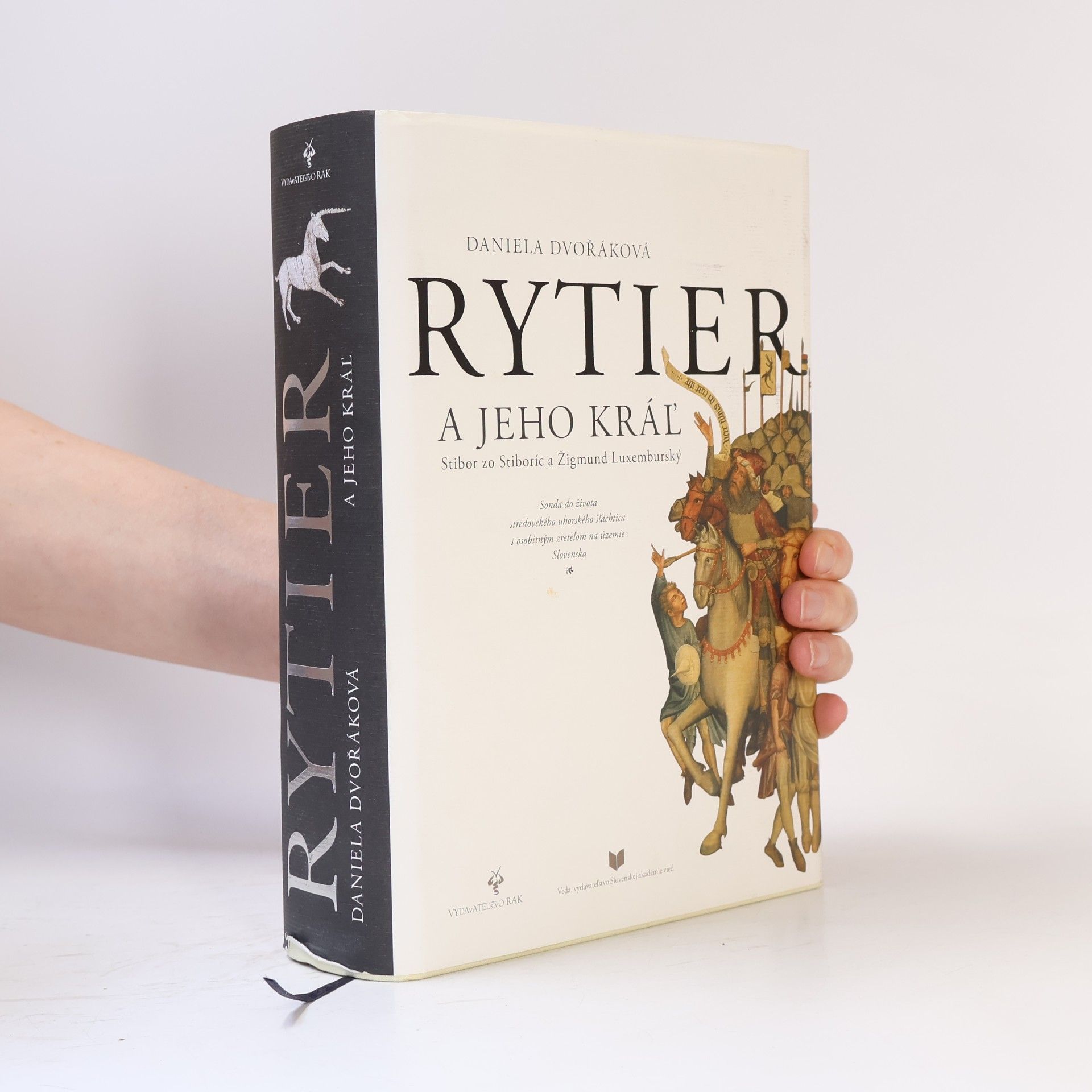 Rytier a jeho kráľ