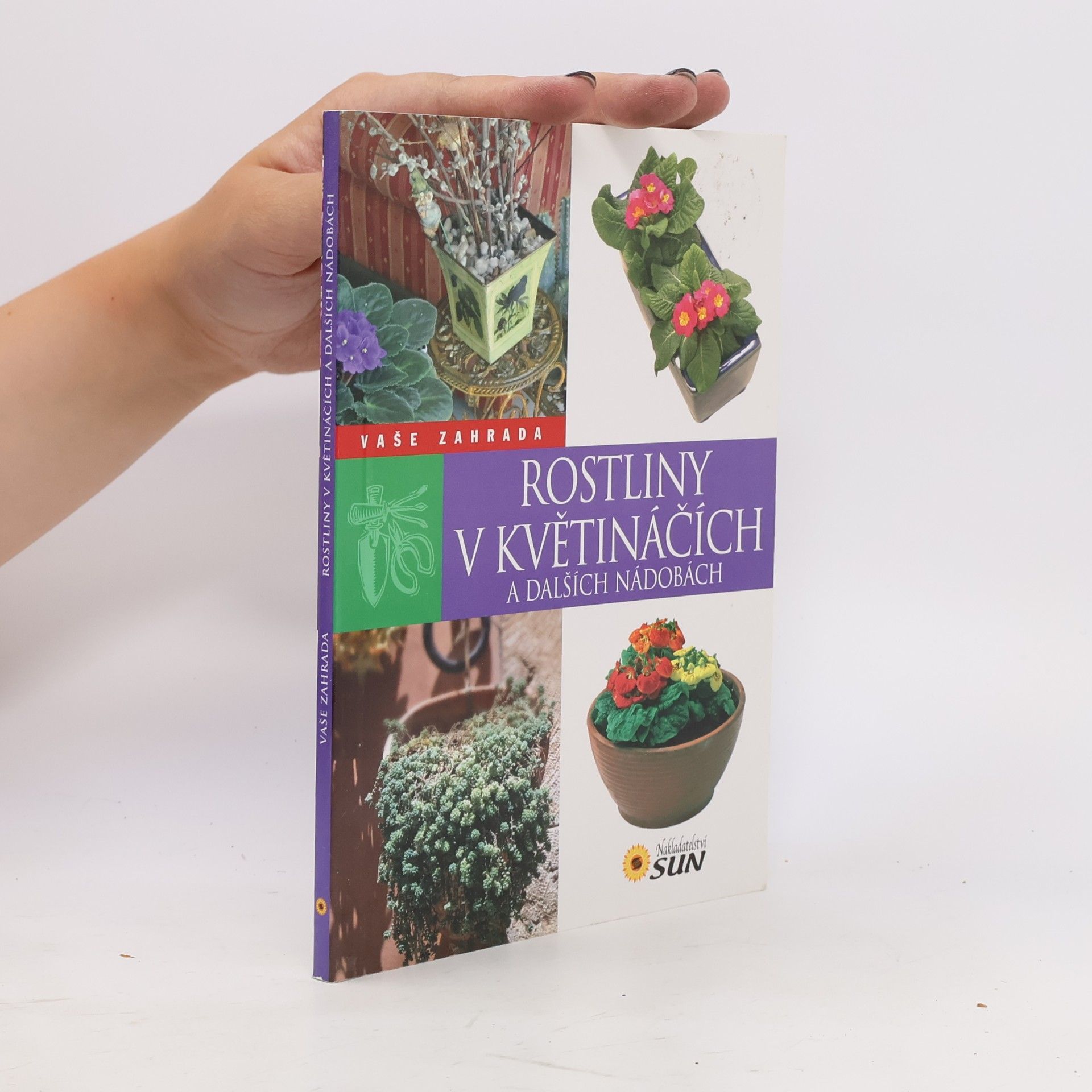 Jorge Echagüe Rostliny v květináčích a dalších nádobách