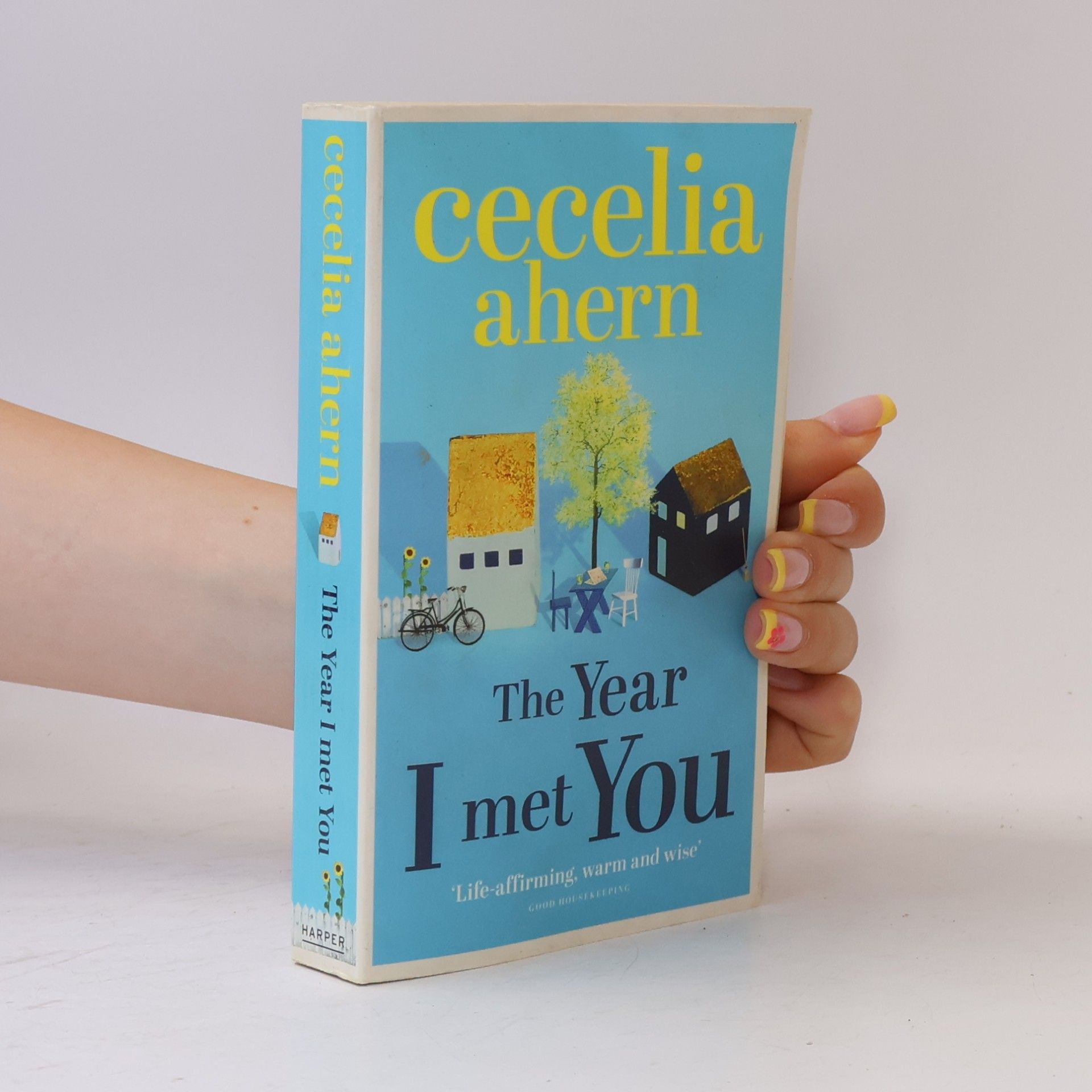 Cecelia Ahern The year I met you