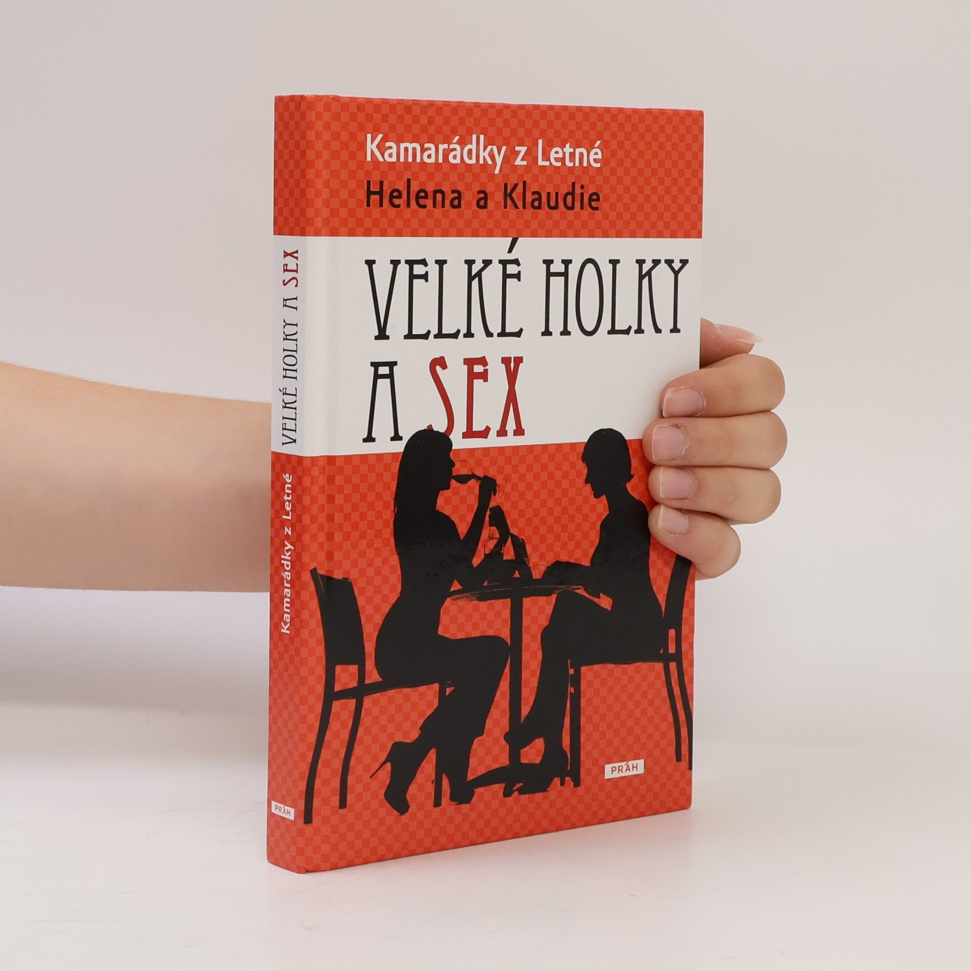 Autorenkollektiv Velké holky a sex