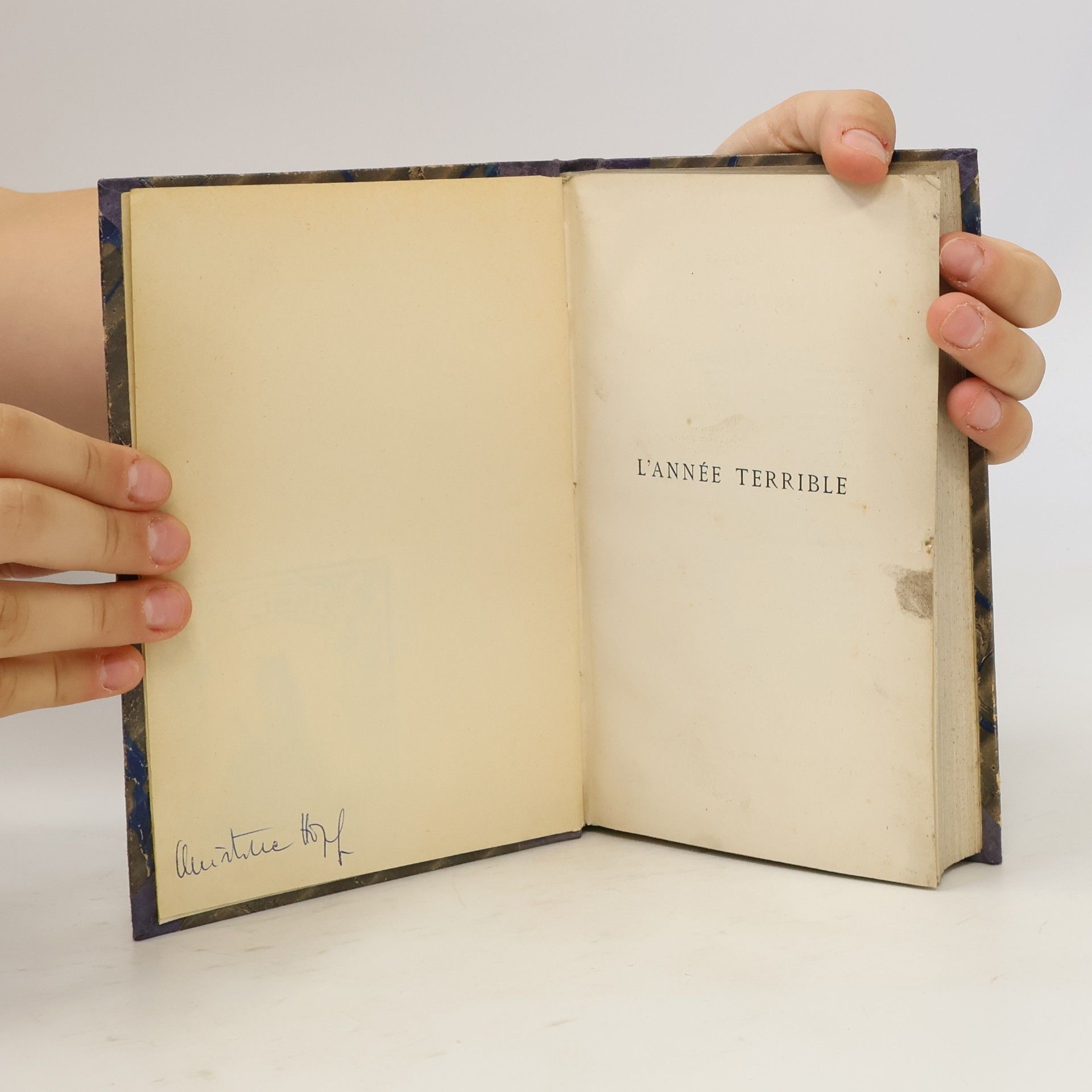Victor Hugo L'Année terrible