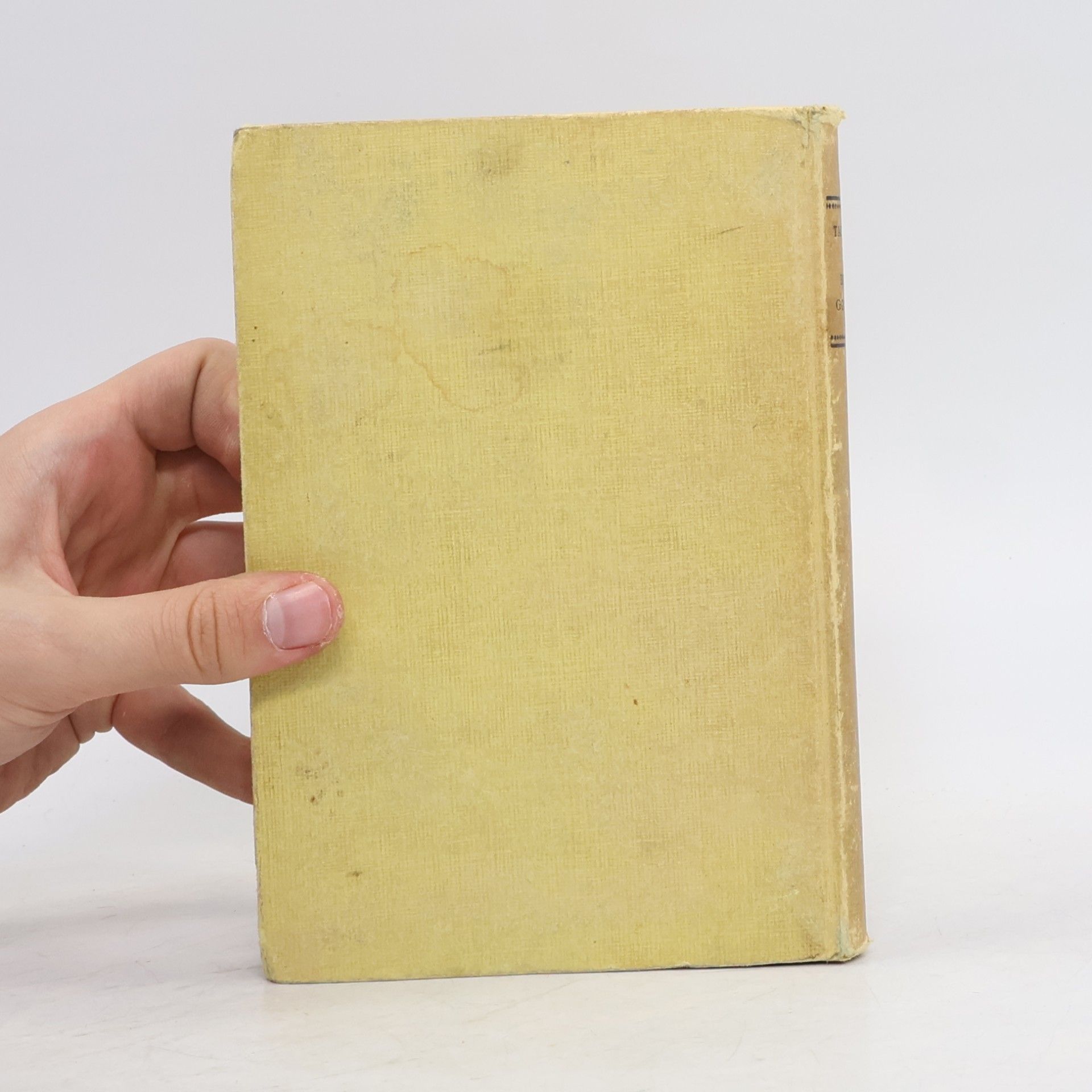 Kolektiv autorů Tagebuch der Brüder Goncourt