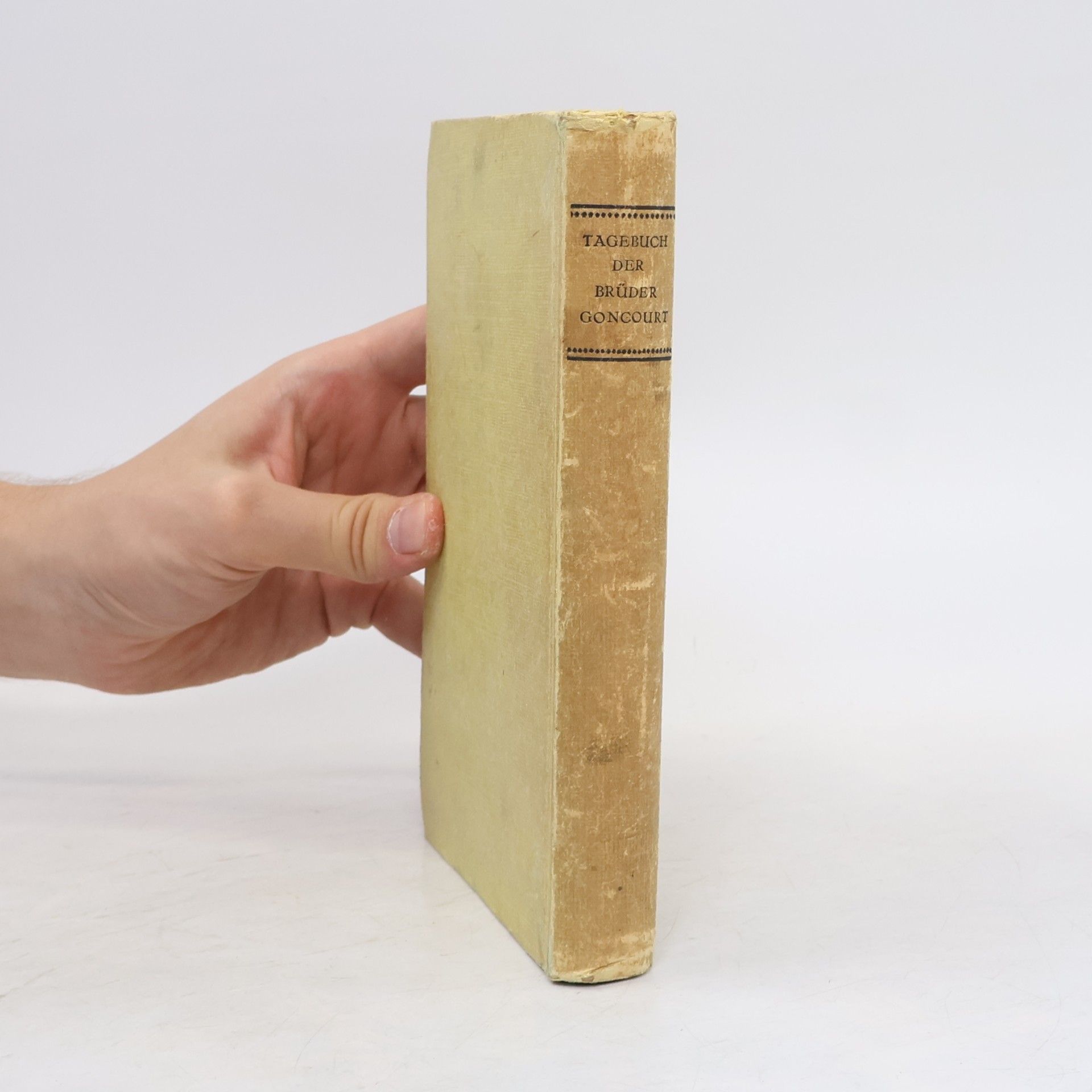 Kolektiv autorů Tagebuch der Brüder Goncourt