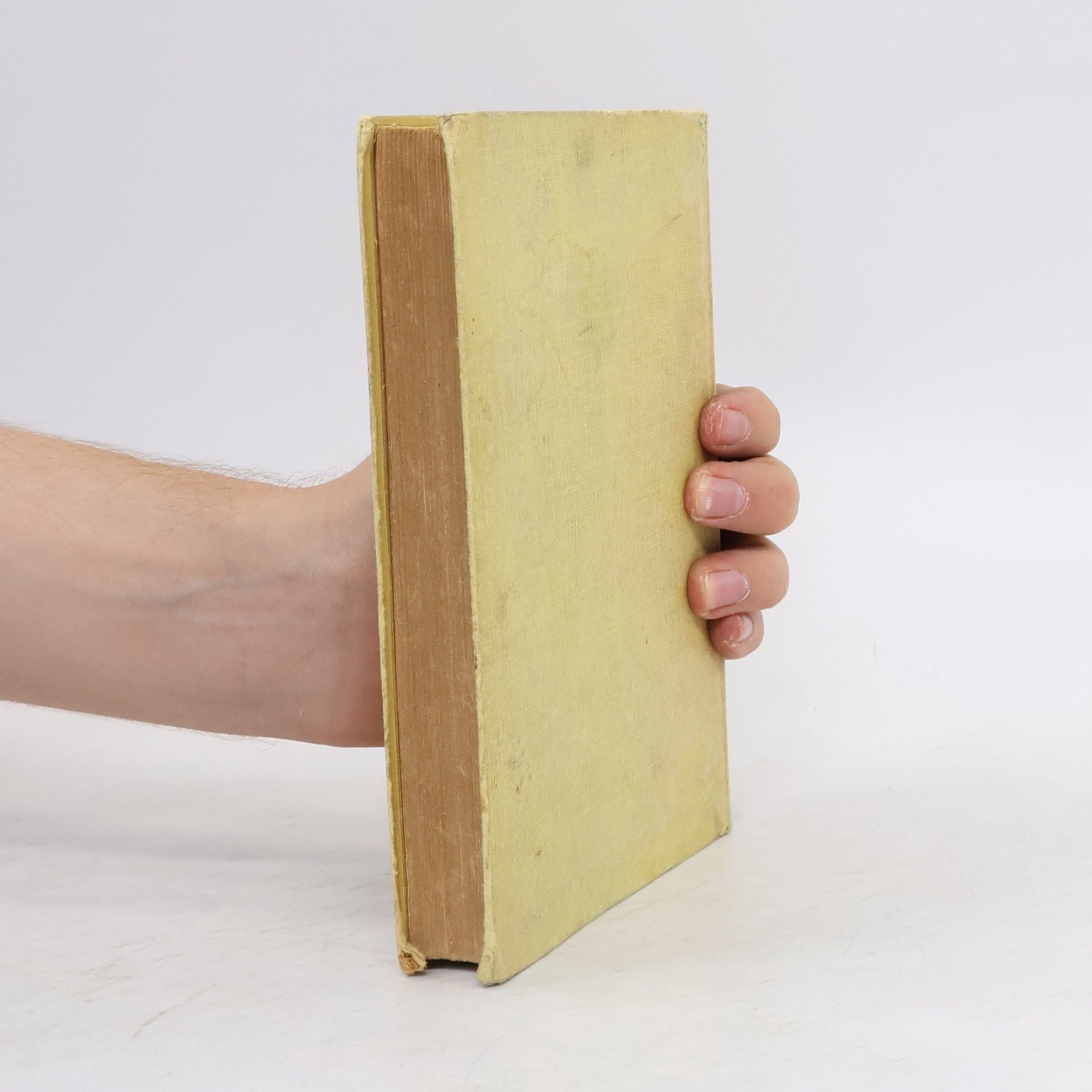 Kolektiv autorů Tagebuch der Brüder Goncourt