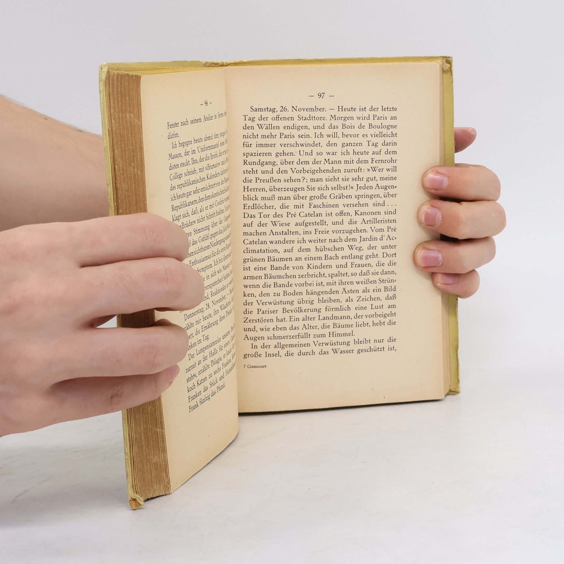 Kolektiv autorů Tagebuch der Brüder Goncourt