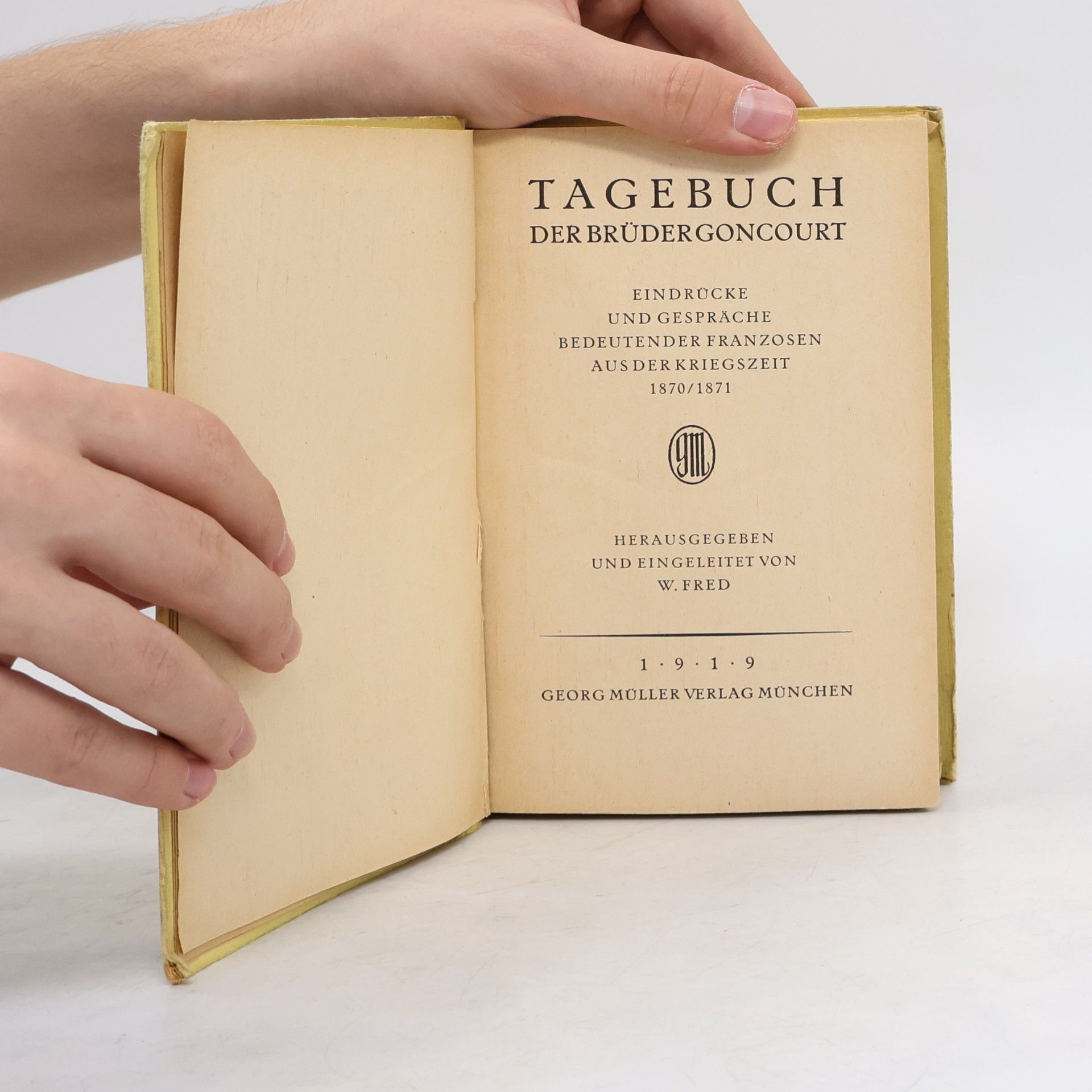 Kolektiv autorů Tagebuch der Brüder Goncourt