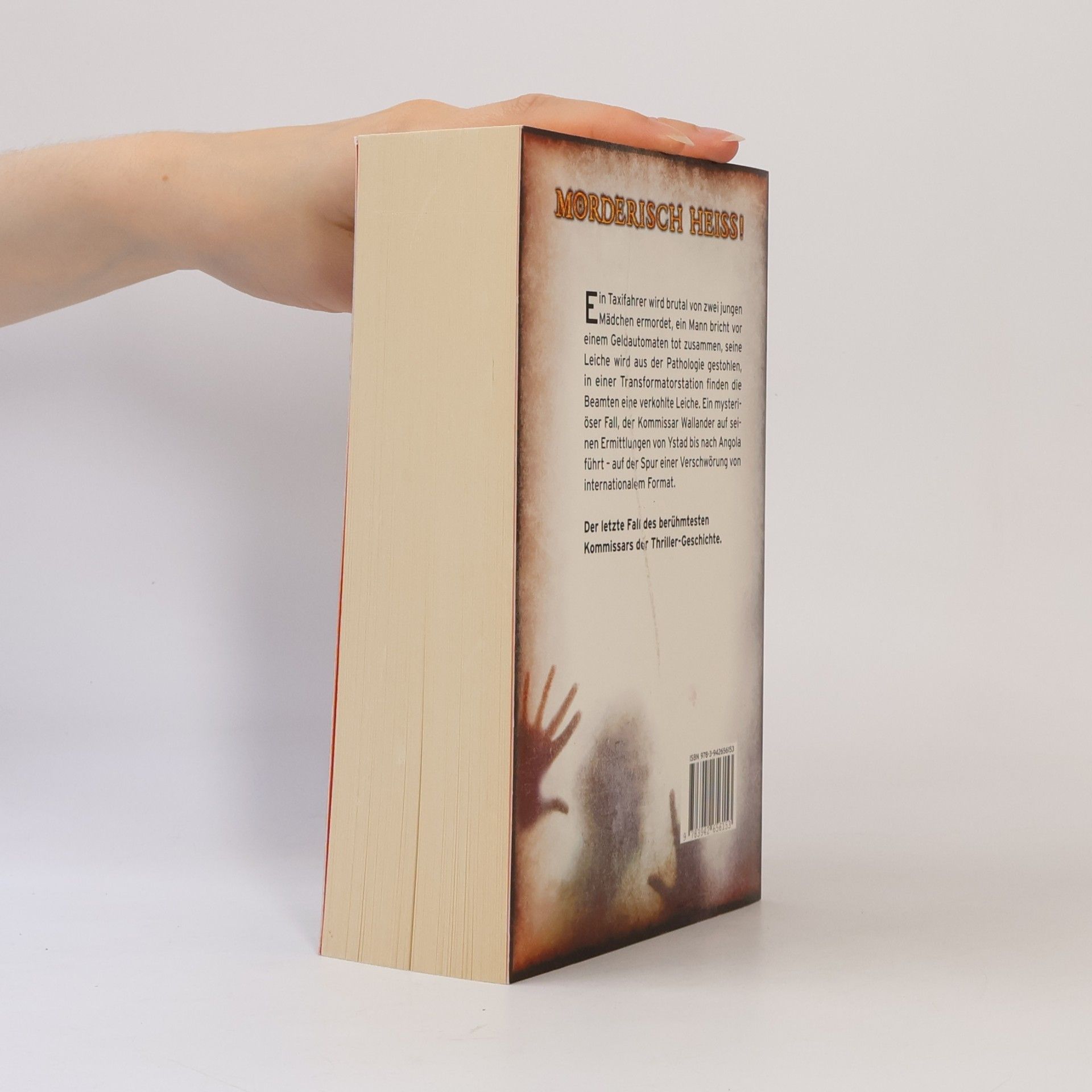 Henning Mankell Die Brand Mauer