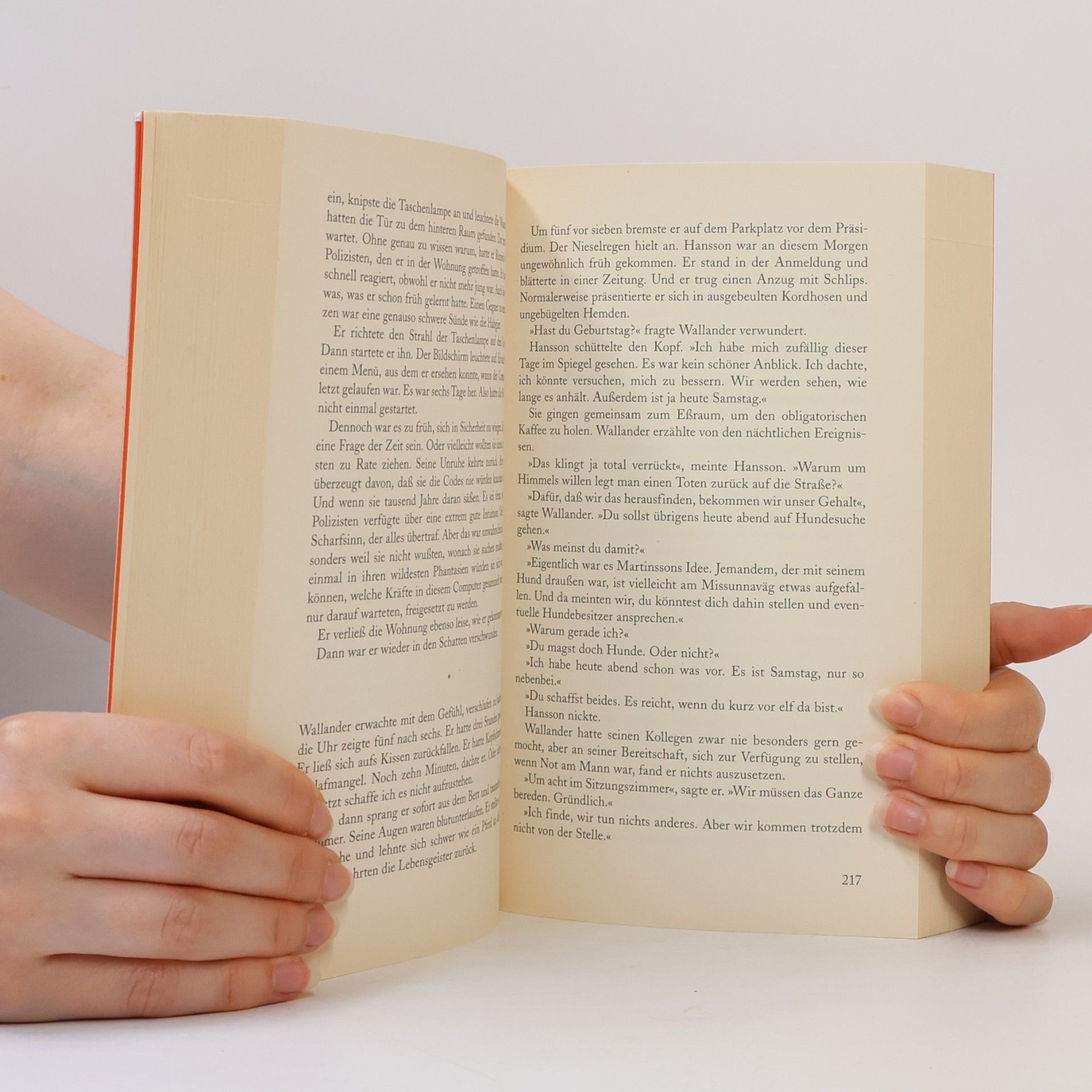 Henning Mankell Die Brand Mauer