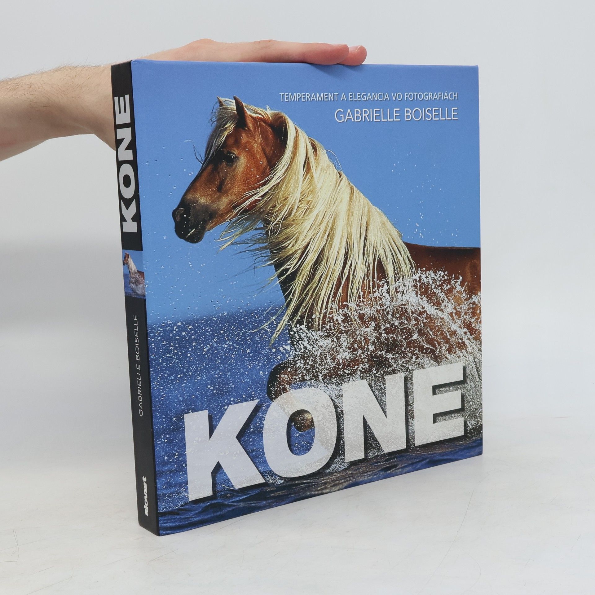 Gabriele Boiselle Kone
