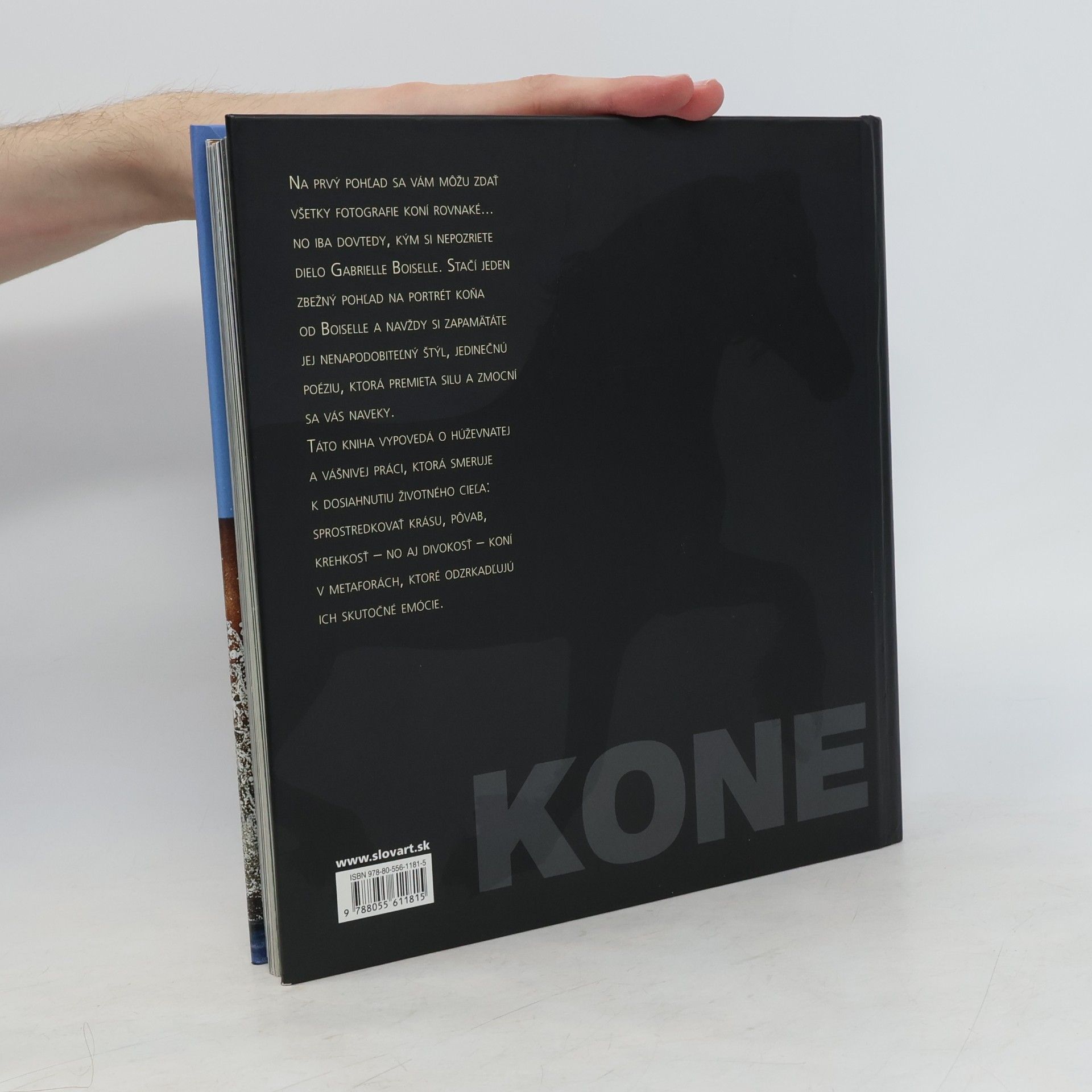 Gabriele Boiselle Kone