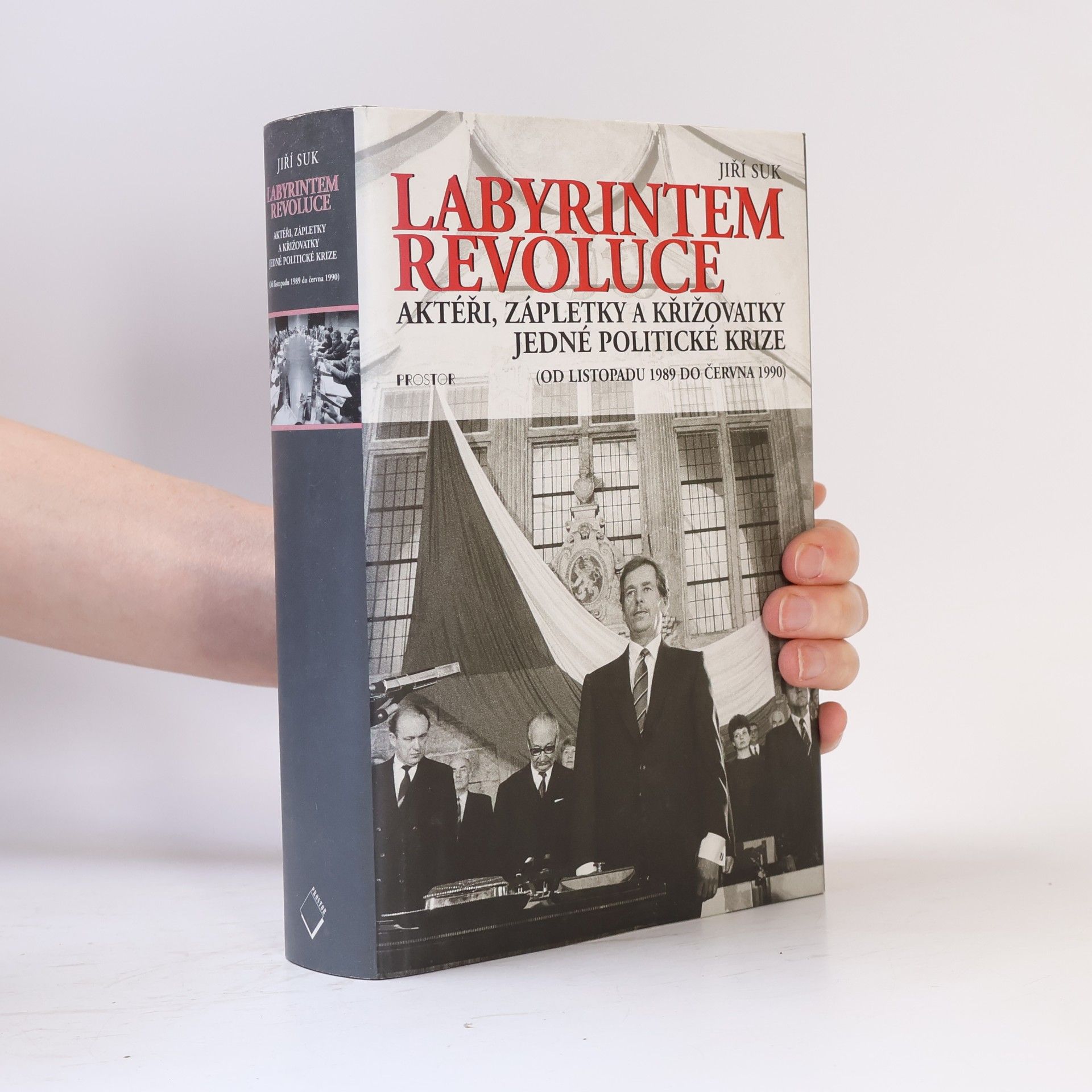 Labyrintem revoluce. Aktéři, zápletky a křižovatky jedné politické krize (od listopadu 1989 do června 1990)