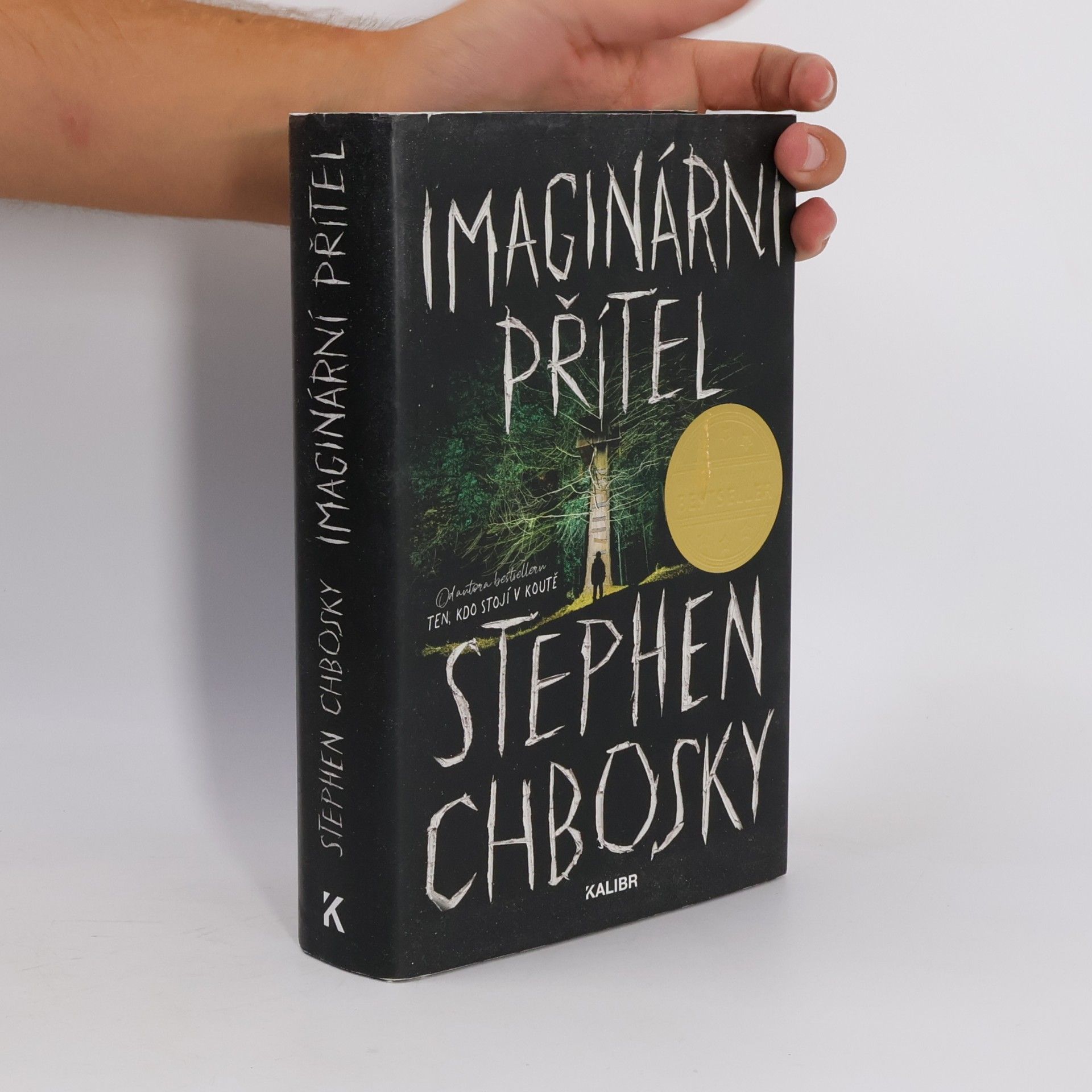 Stephen Chbosky Imaginární přítel