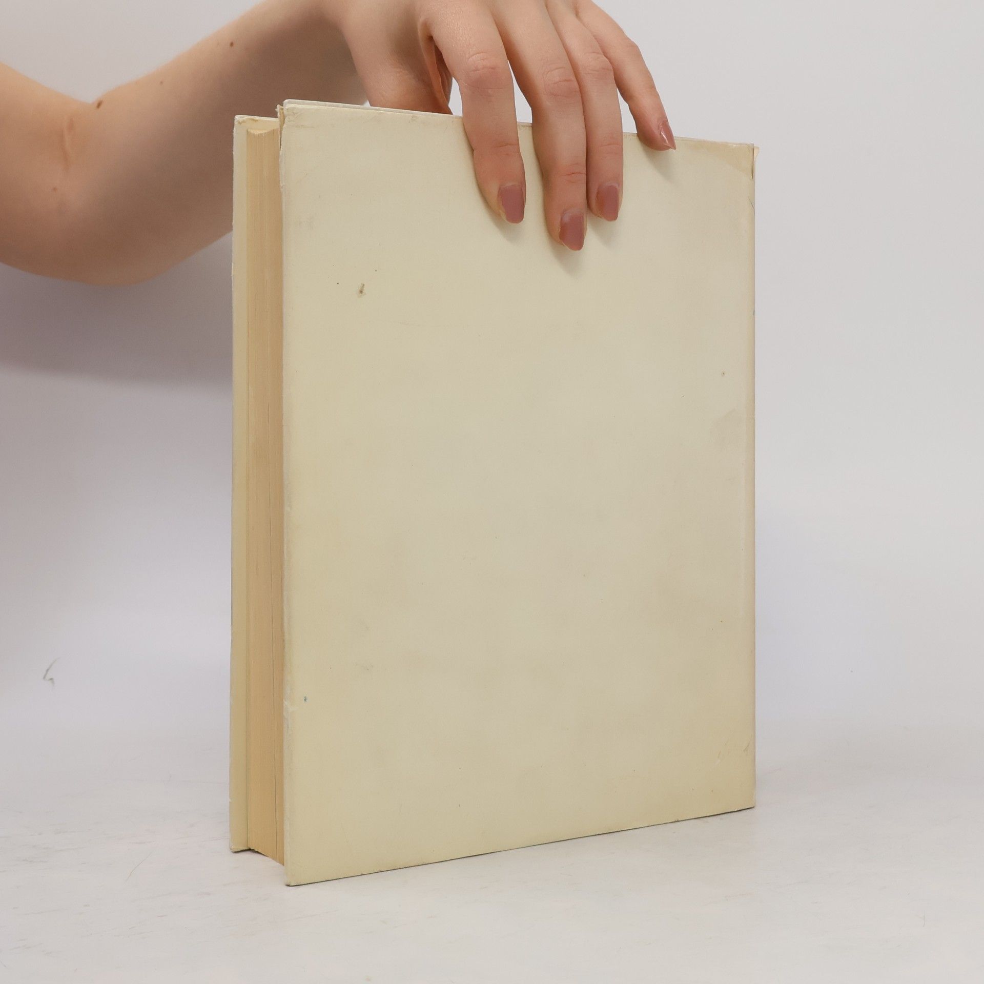 Rudolf Wollmann elber machen, aber wie? Das große Werkbuch zum AEG Heimwerker