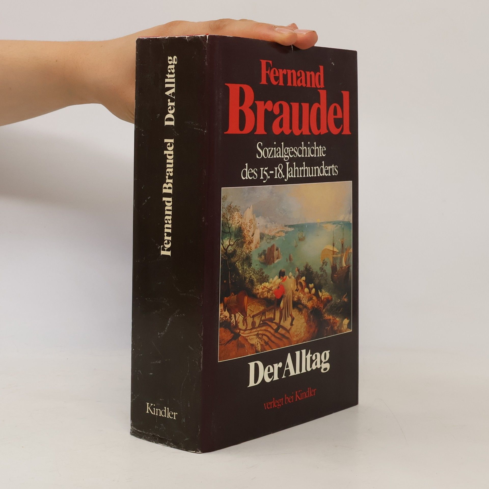 Fernand Braudel Sozialgeschichte des 15.-18. Jahrhunderts: Der Alltag