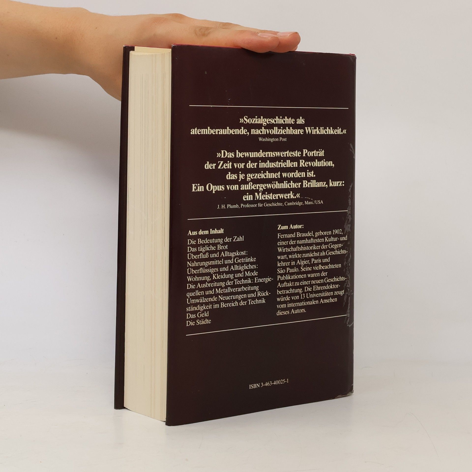 Fernand Braudel Sozialgeschichte des 15.-18. Jahrhunderts: Der Alltag