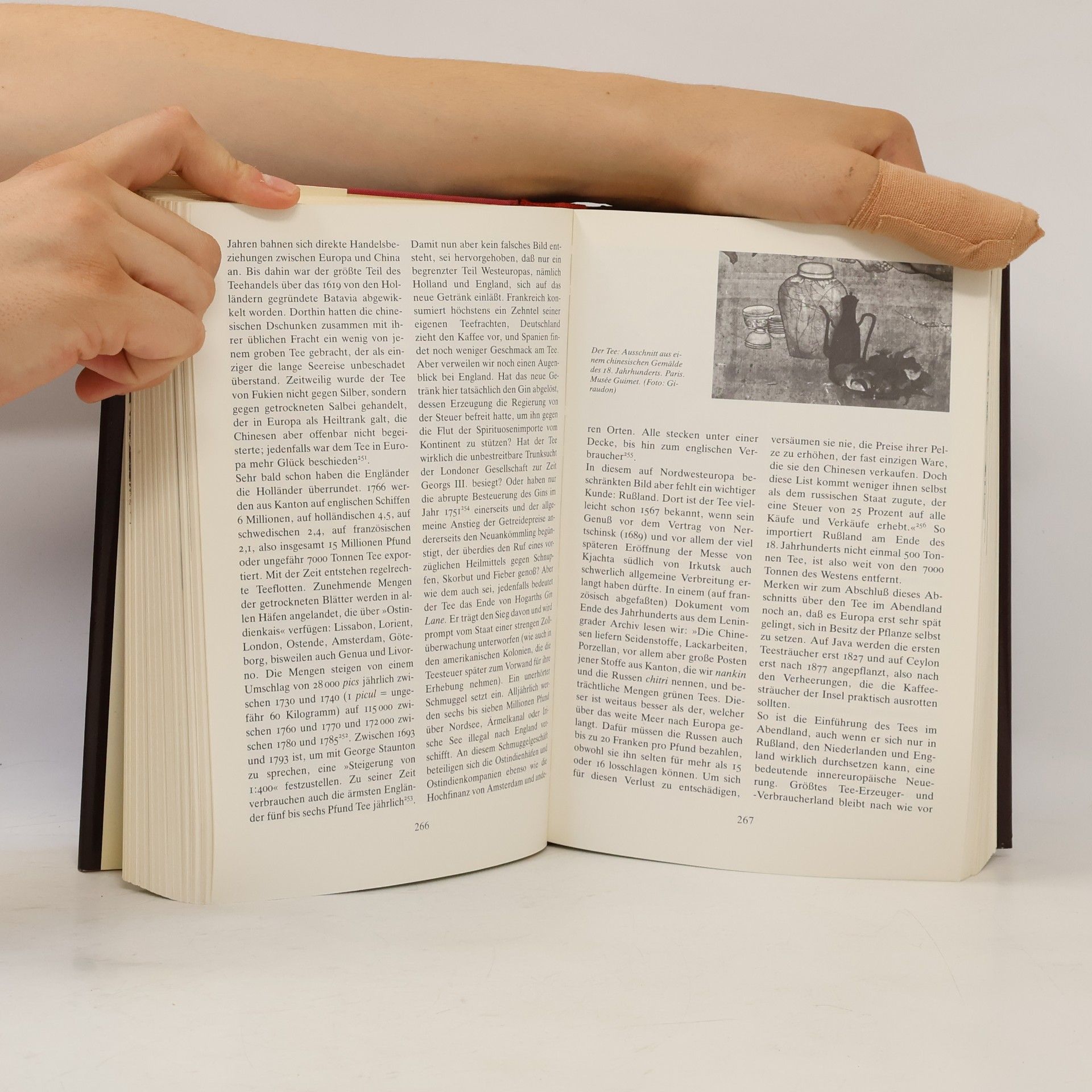Fernand Braudel Sozialgeschichte des 15.-18. Jahrhunderts: Der Alltag