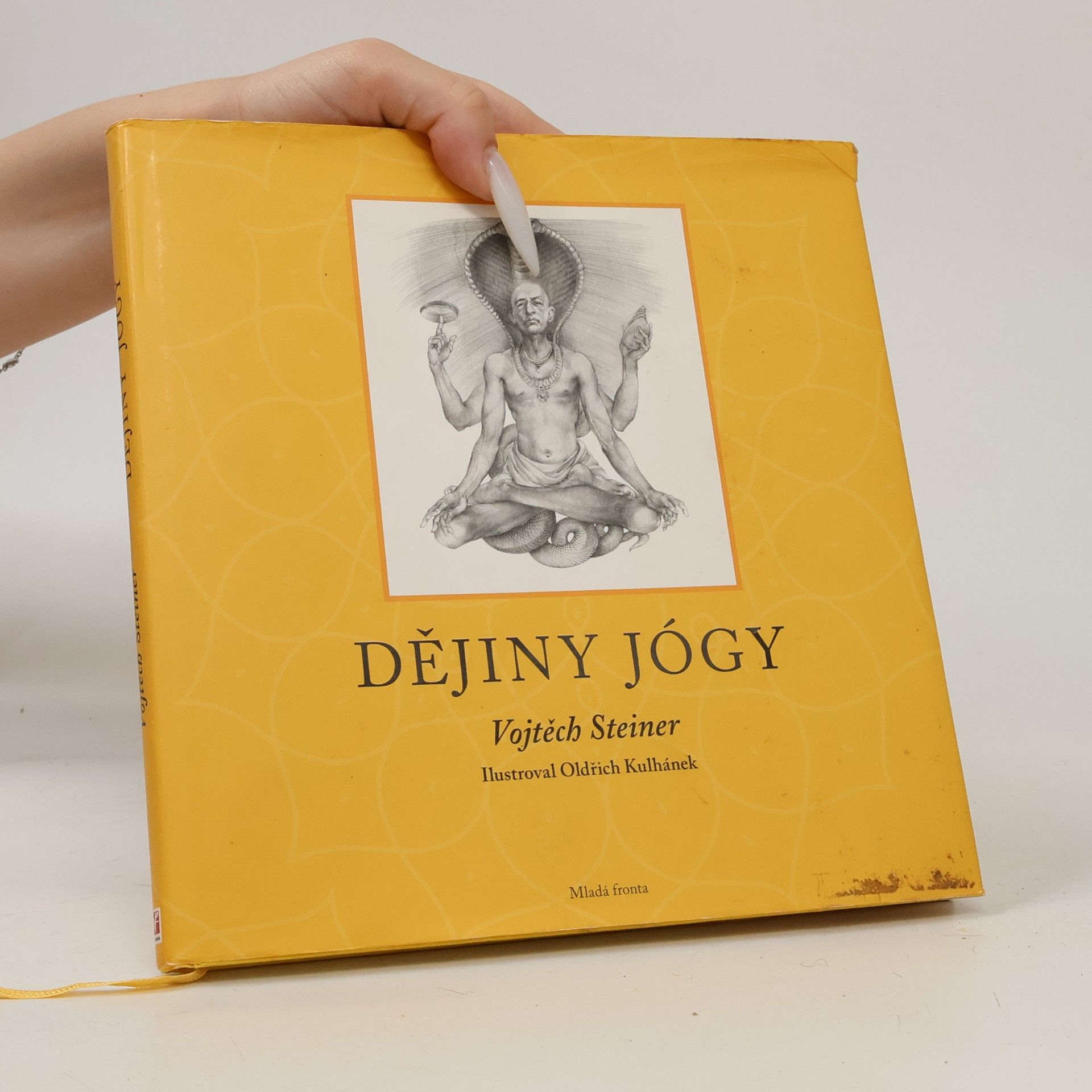 Vojtěch Steiner Dějiny jógy