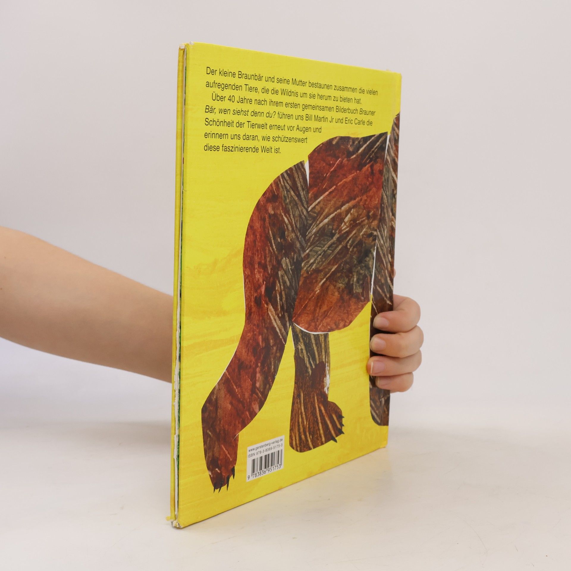 Eric Carle Kleiner Bär, kleiner Bär, was siehst du da?