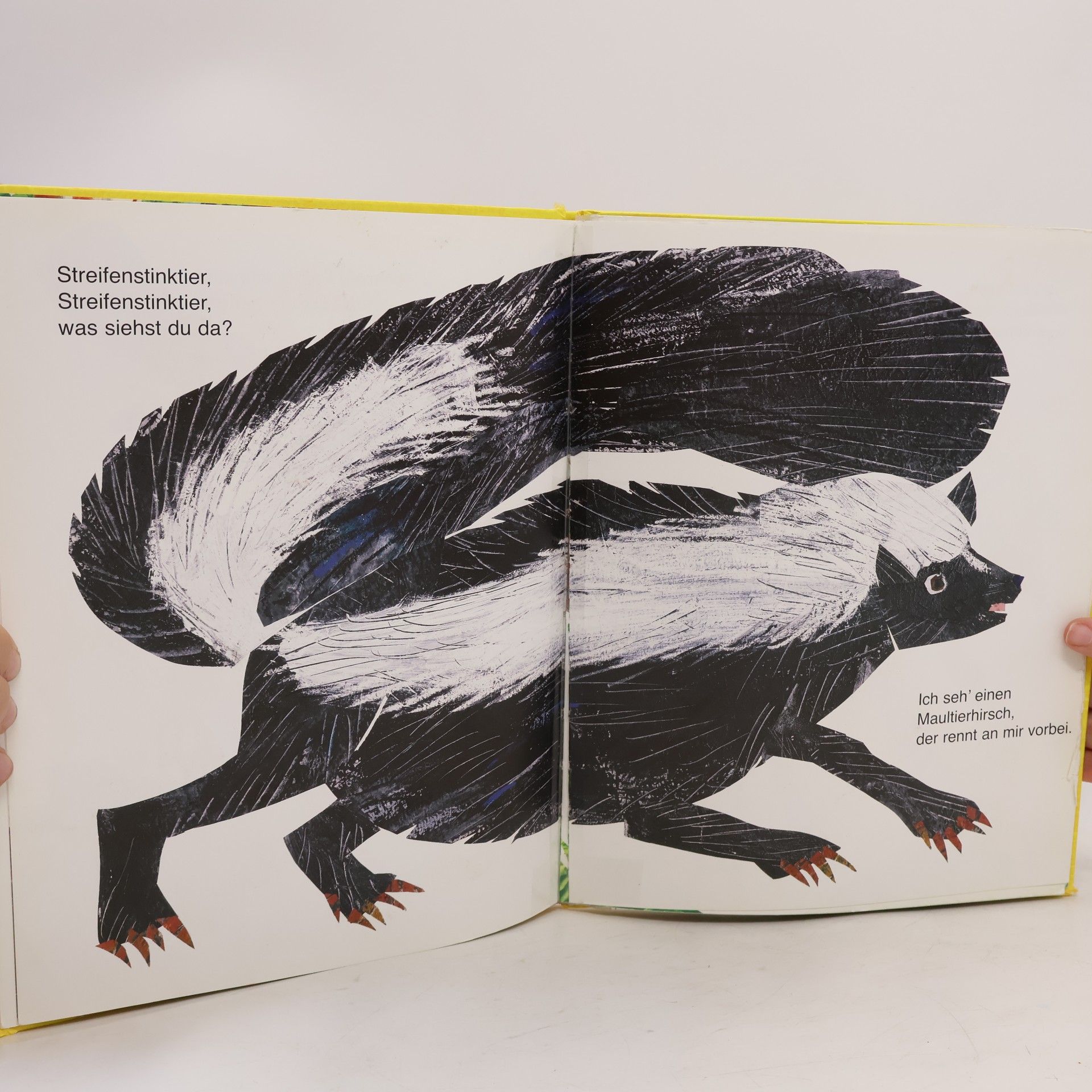 Eric Carle Kleiner Bär, kleiner Bär, was siehst du da?