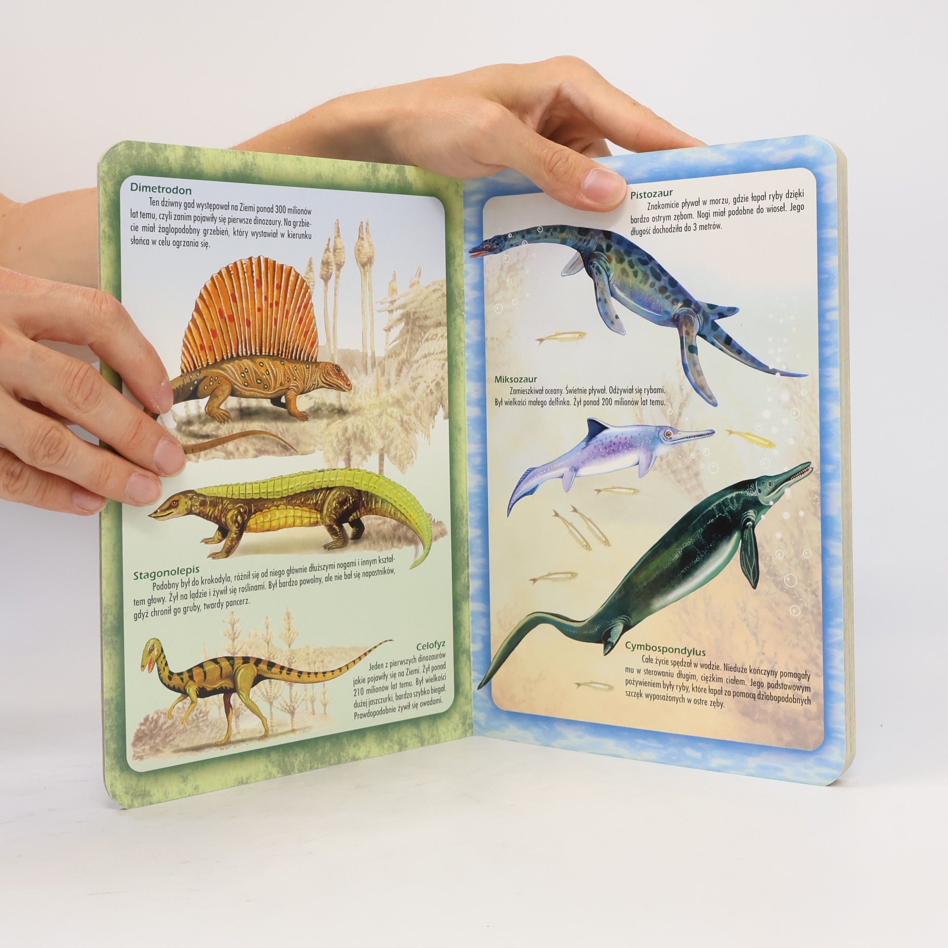 Robert Dzwonkowski Atlas dinozaurów dla dzieci