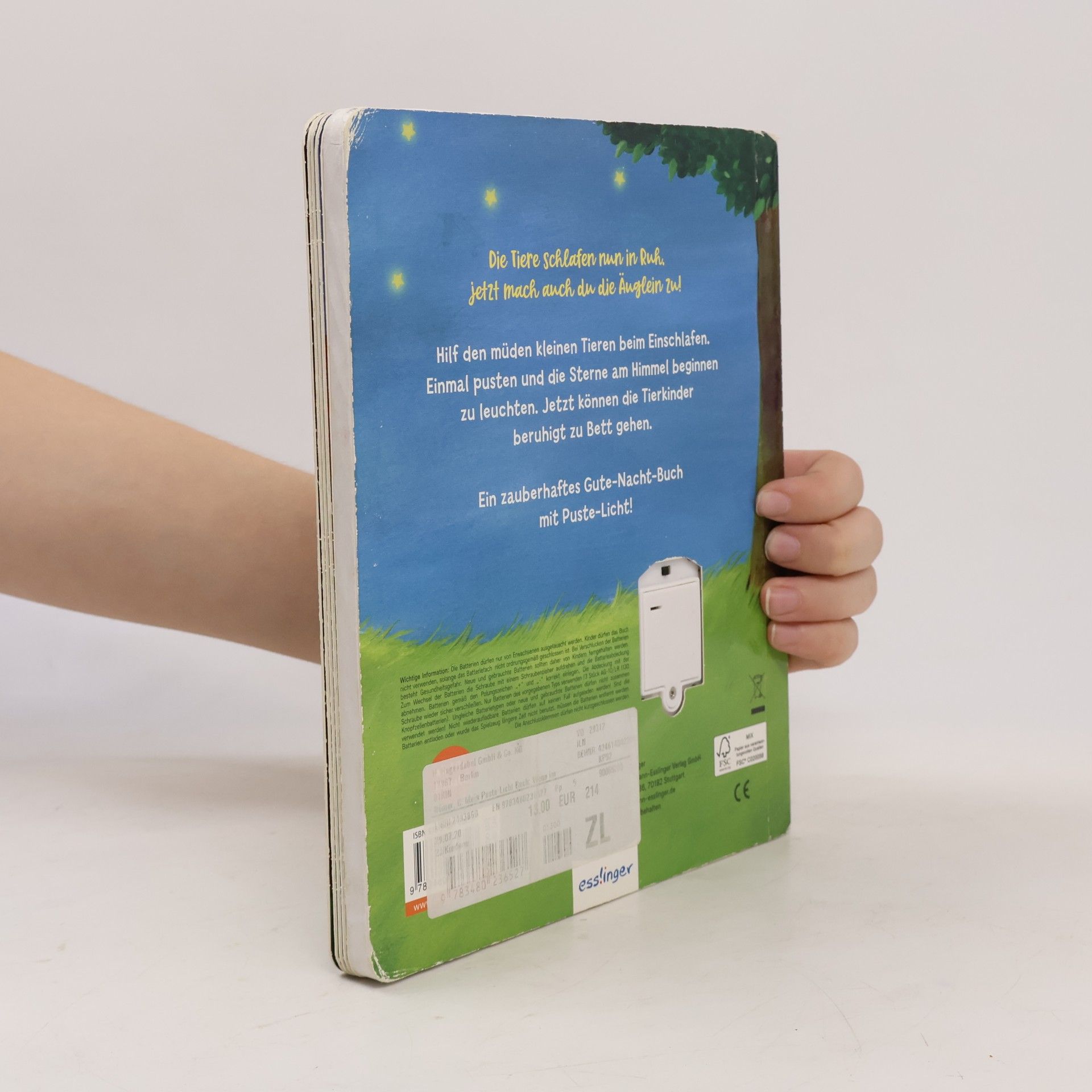 Christina Nömer Mein Puste-Licht-Buch: Wenn im Dunkeln Sterne funkeln