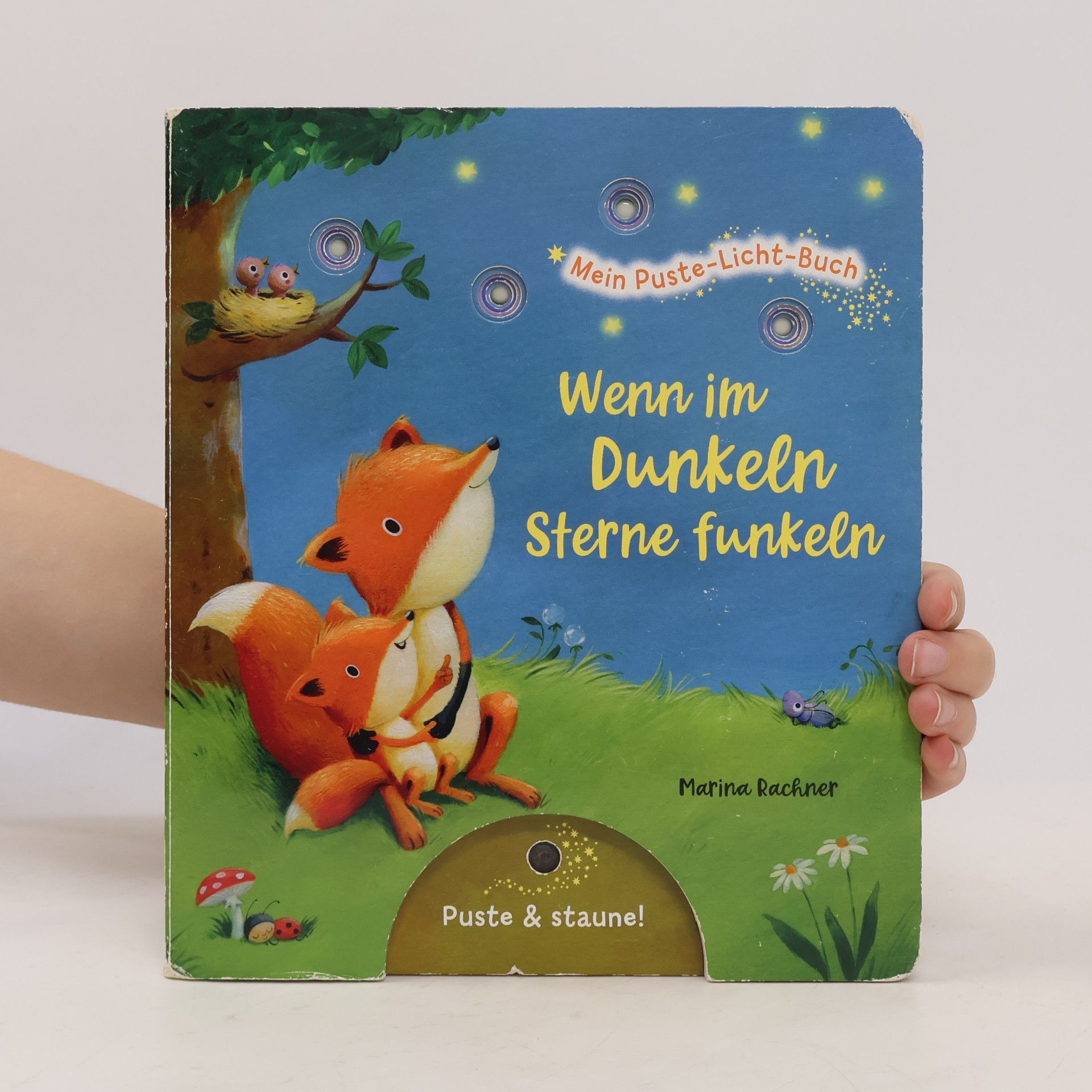Christina Nömer Mein Puste-Licht-Buch: Wenn im Dunkeln Sterne funkeln