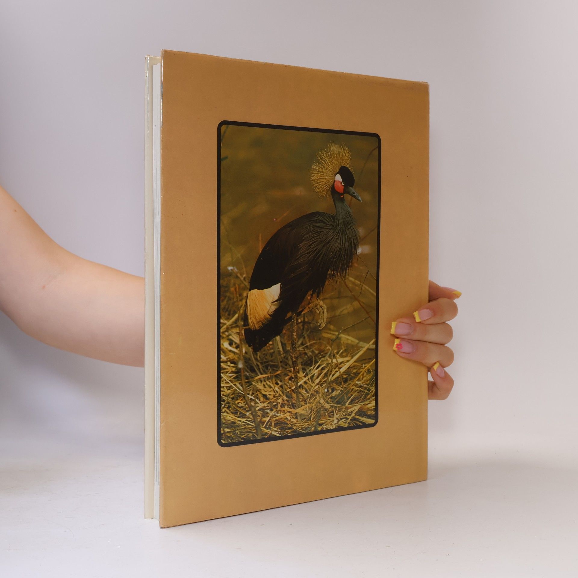 Philip Steele The Family Encyclopedia of Animal Life