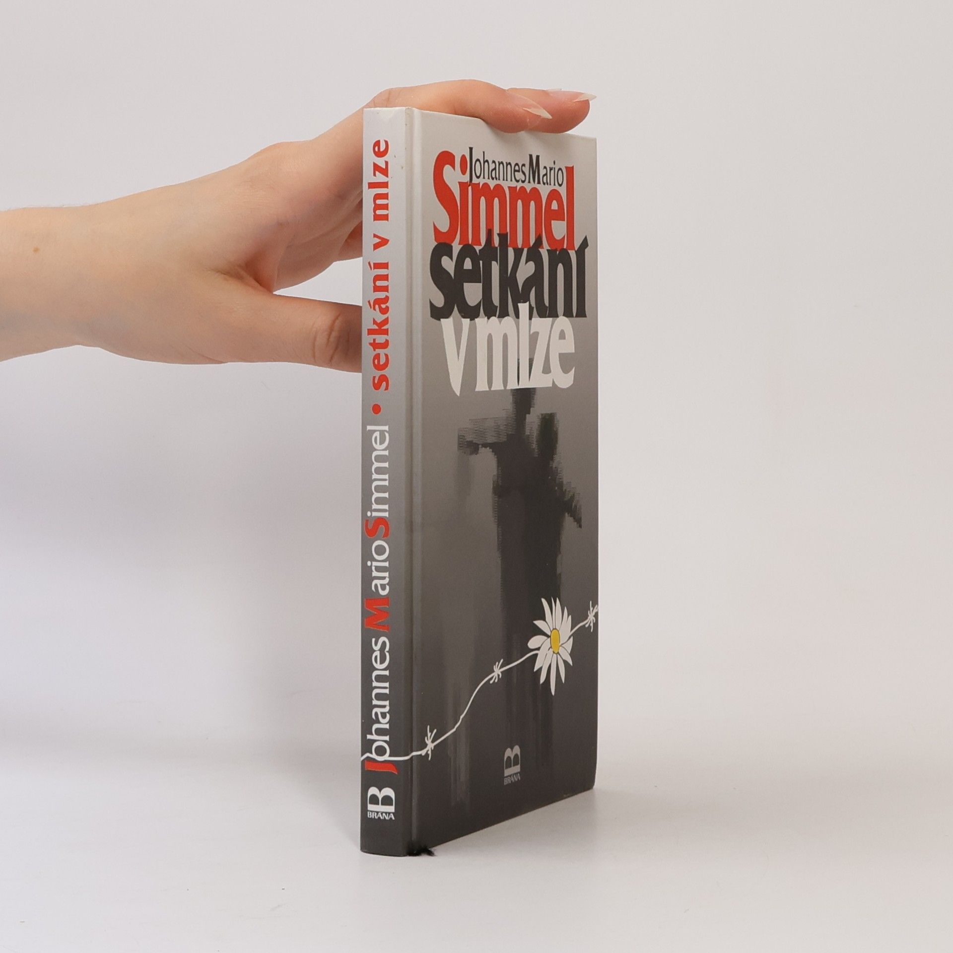 Johannes Mario Simmel Setkání v mlze