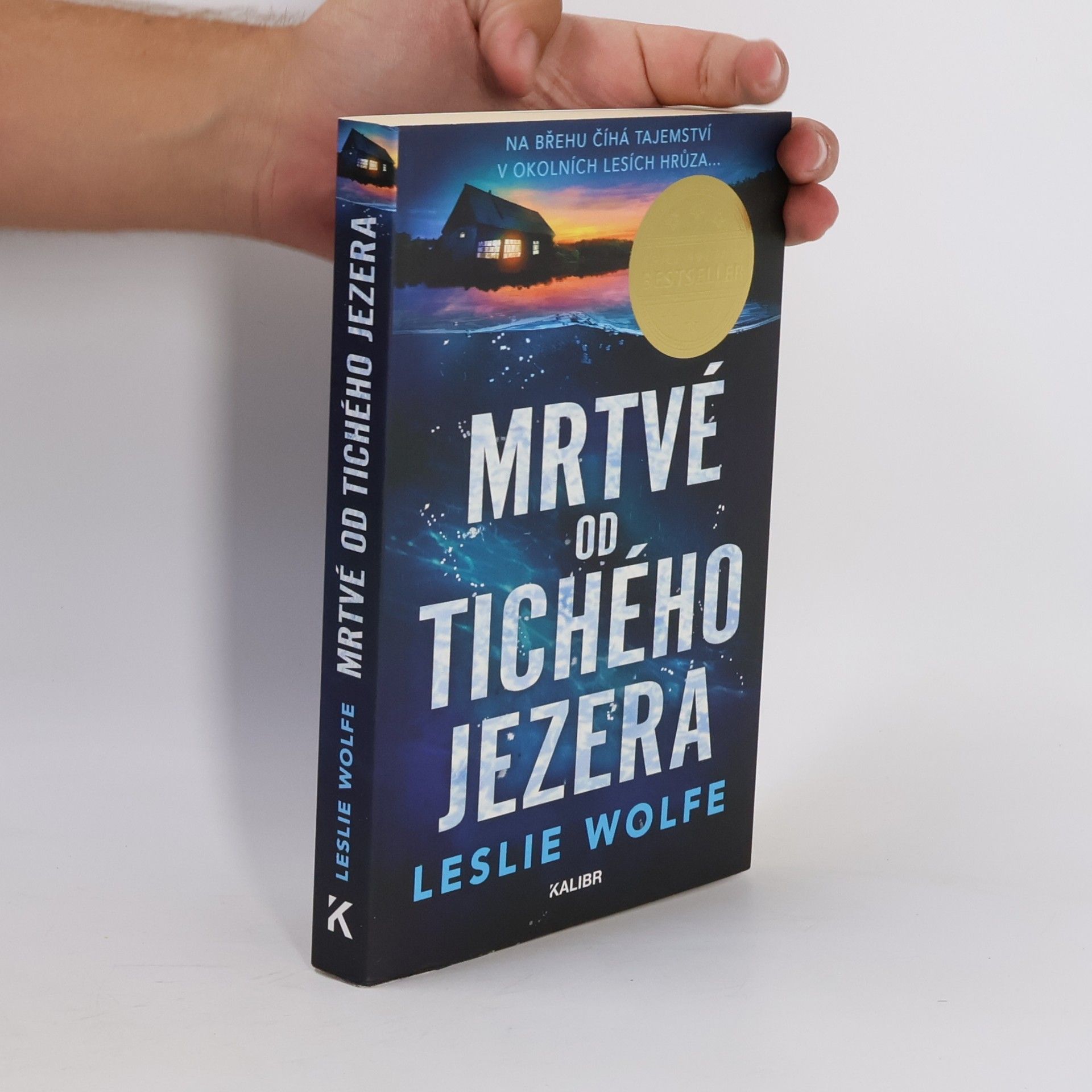 Leslie Wolfe Mrtvé od Tichého jezera