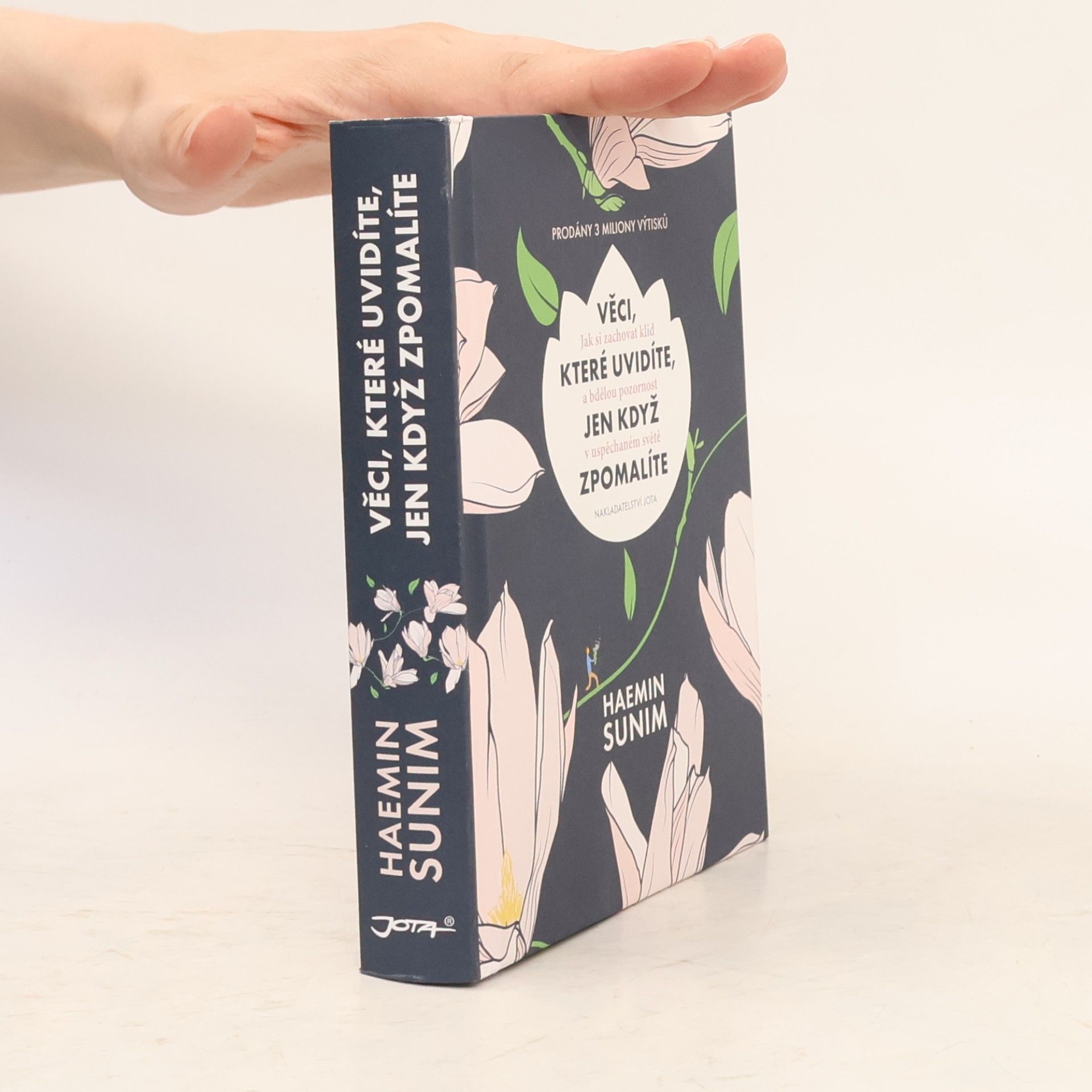 Sunim Haemin Věci, které uvidíte, jen když zpomalíte