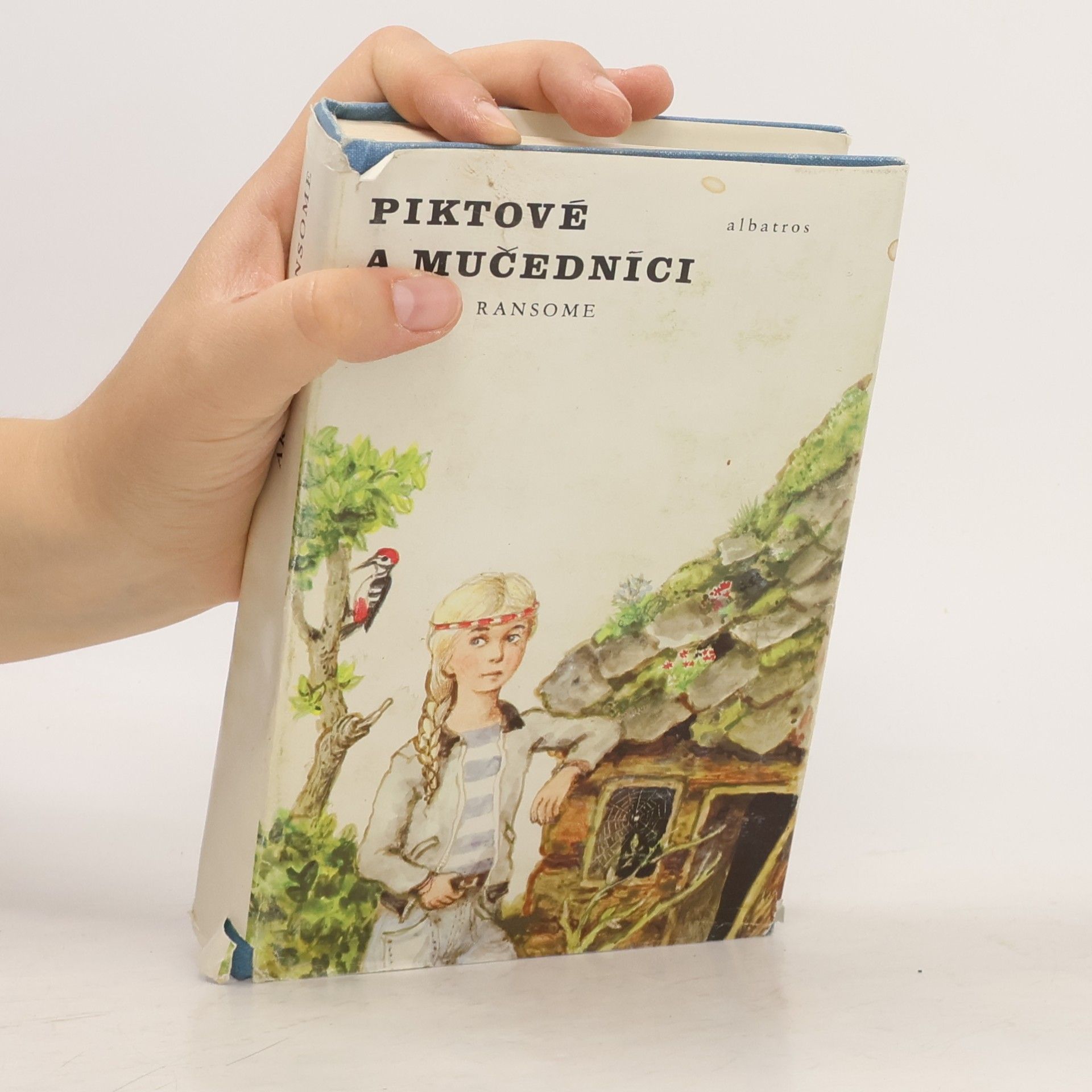 Arthur Ransome Piktové a mučedníci aneb Naprosto nevítaná návštěva