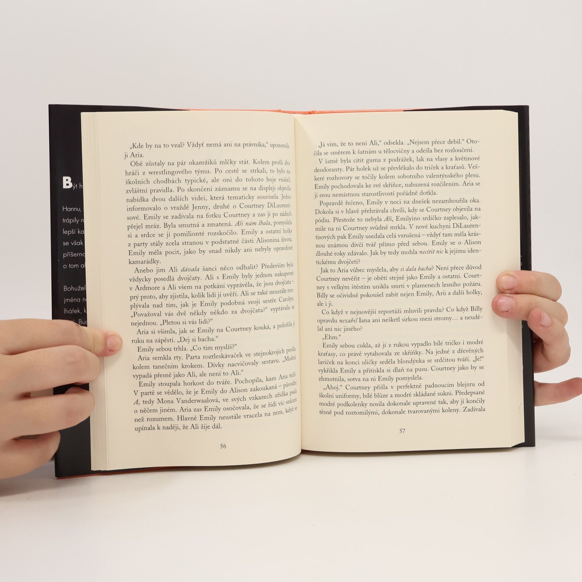 Sara Shepard Roztomilé malé lhářky: Hledané
