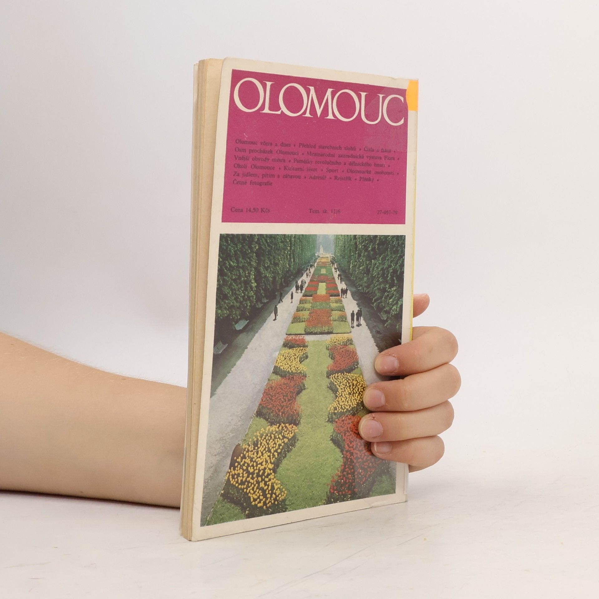 Collectif d'auteurs Olomouc : Průvodce, informace, fakta