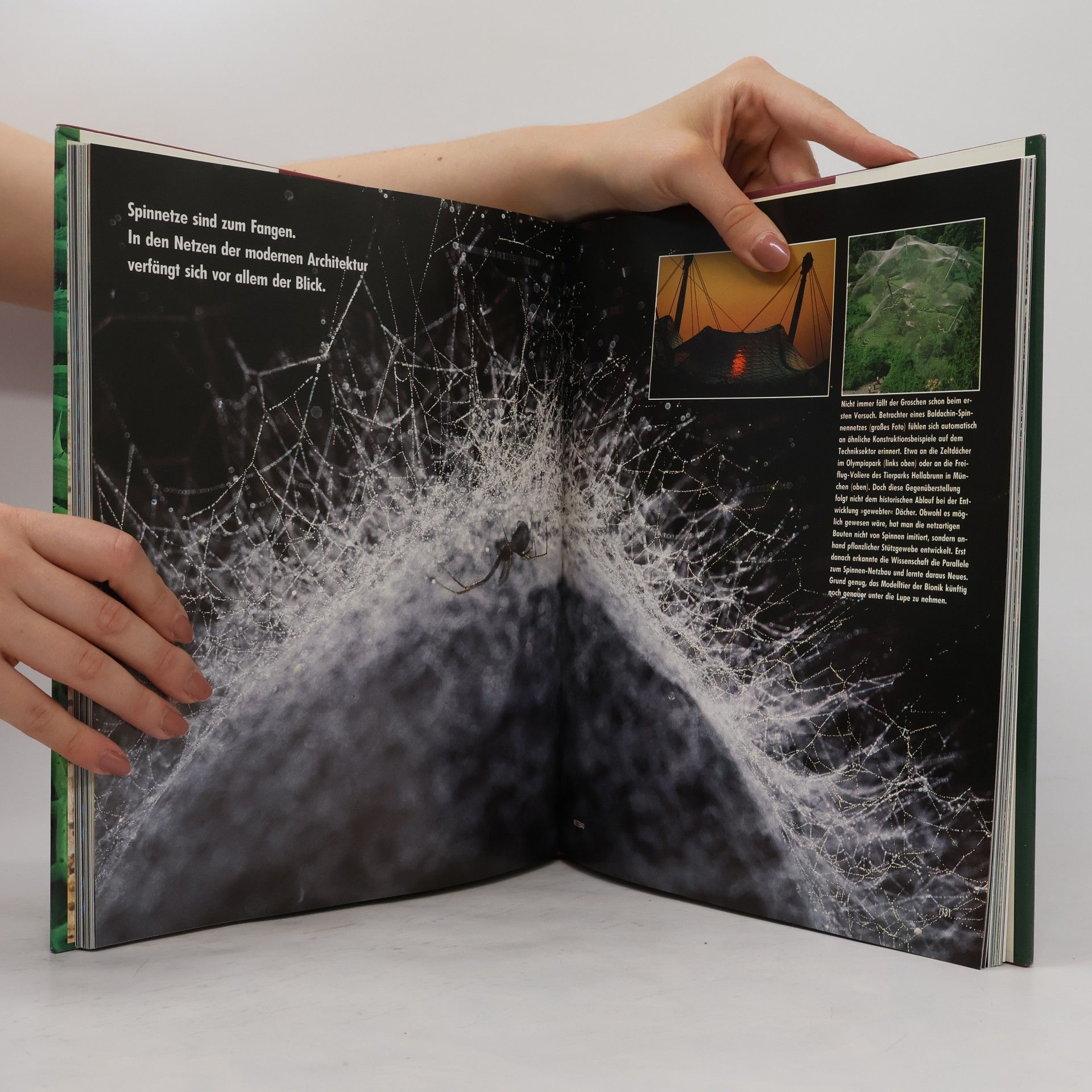 Various authors Bionik. Patente der Natur