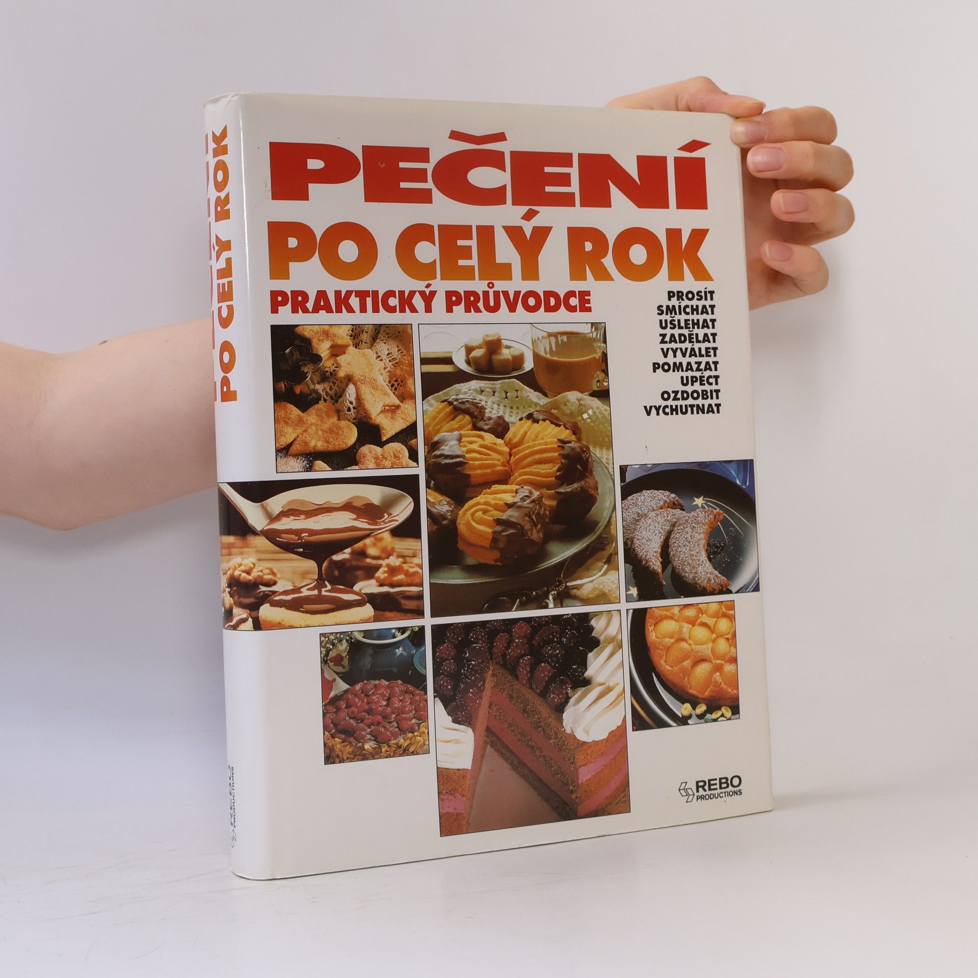 Hana Hejnalová Pečení po celý rok : praktický průvodce