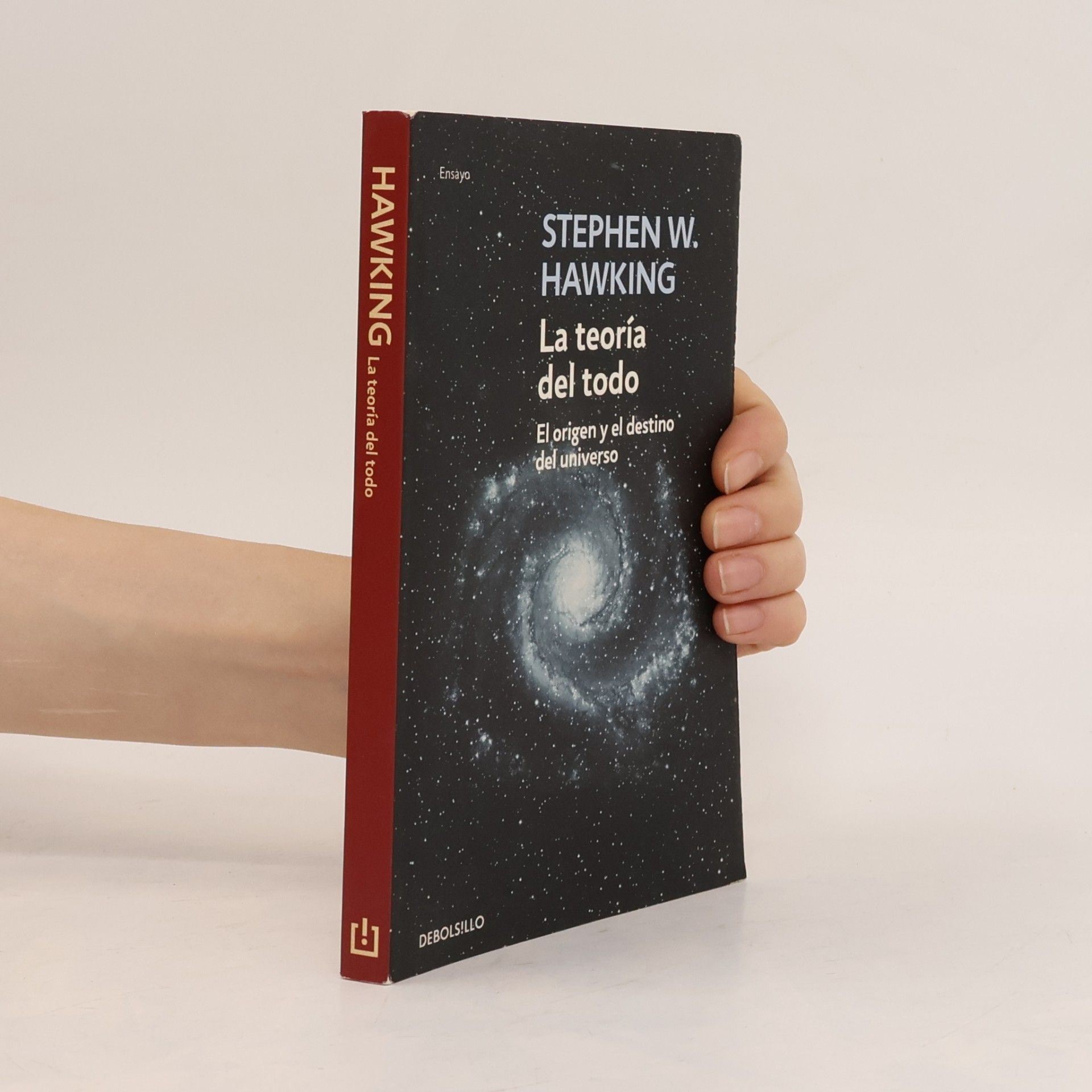 Stephen Hawking La teoría del todo
