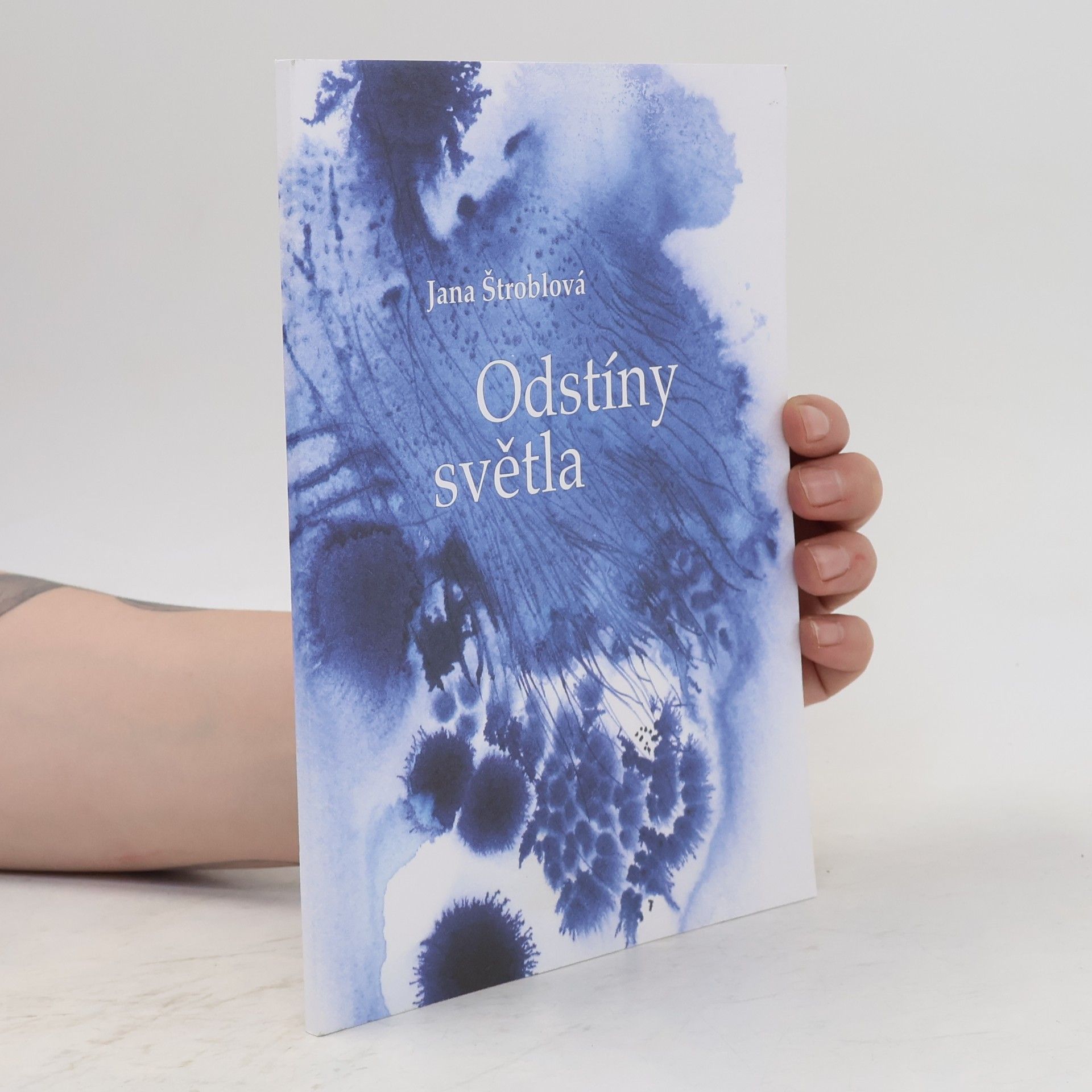 Jana Štroblová Odstíny světla