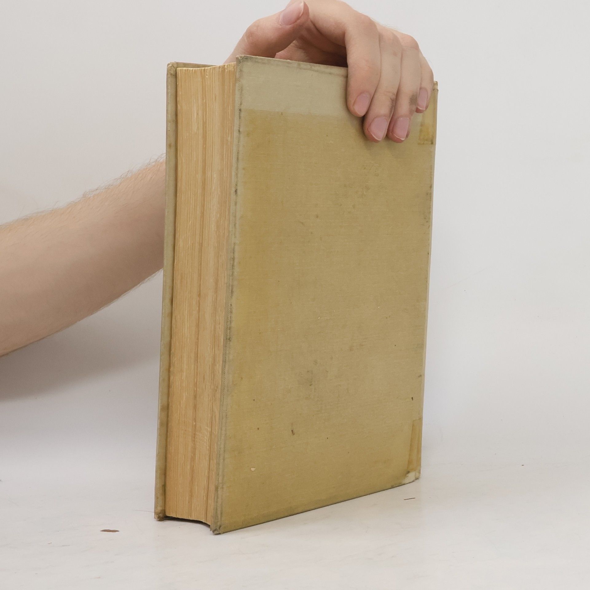 Henriette Davidis Das neue Kochbuch für die deutsche Küche