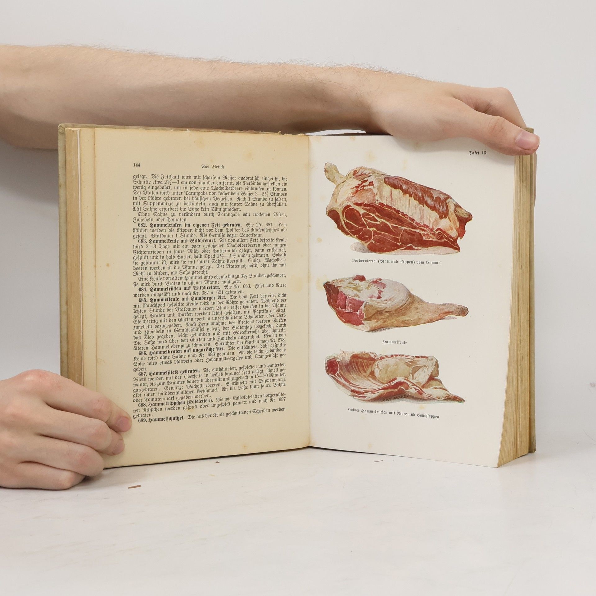 Henriette Davidis Das neue Kochbuch für die deutsche Küche