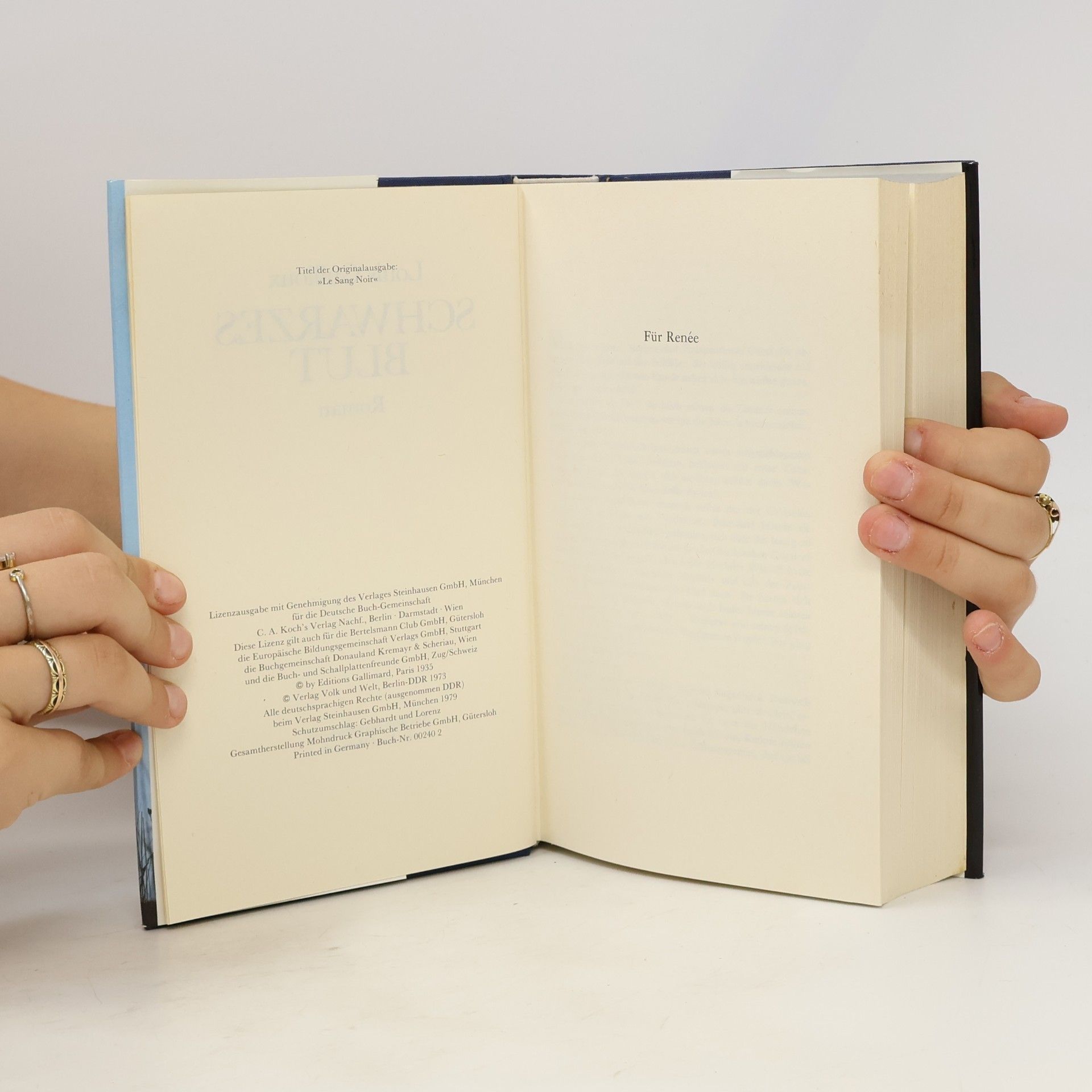 Louis Guilloux Schwarzes Blut