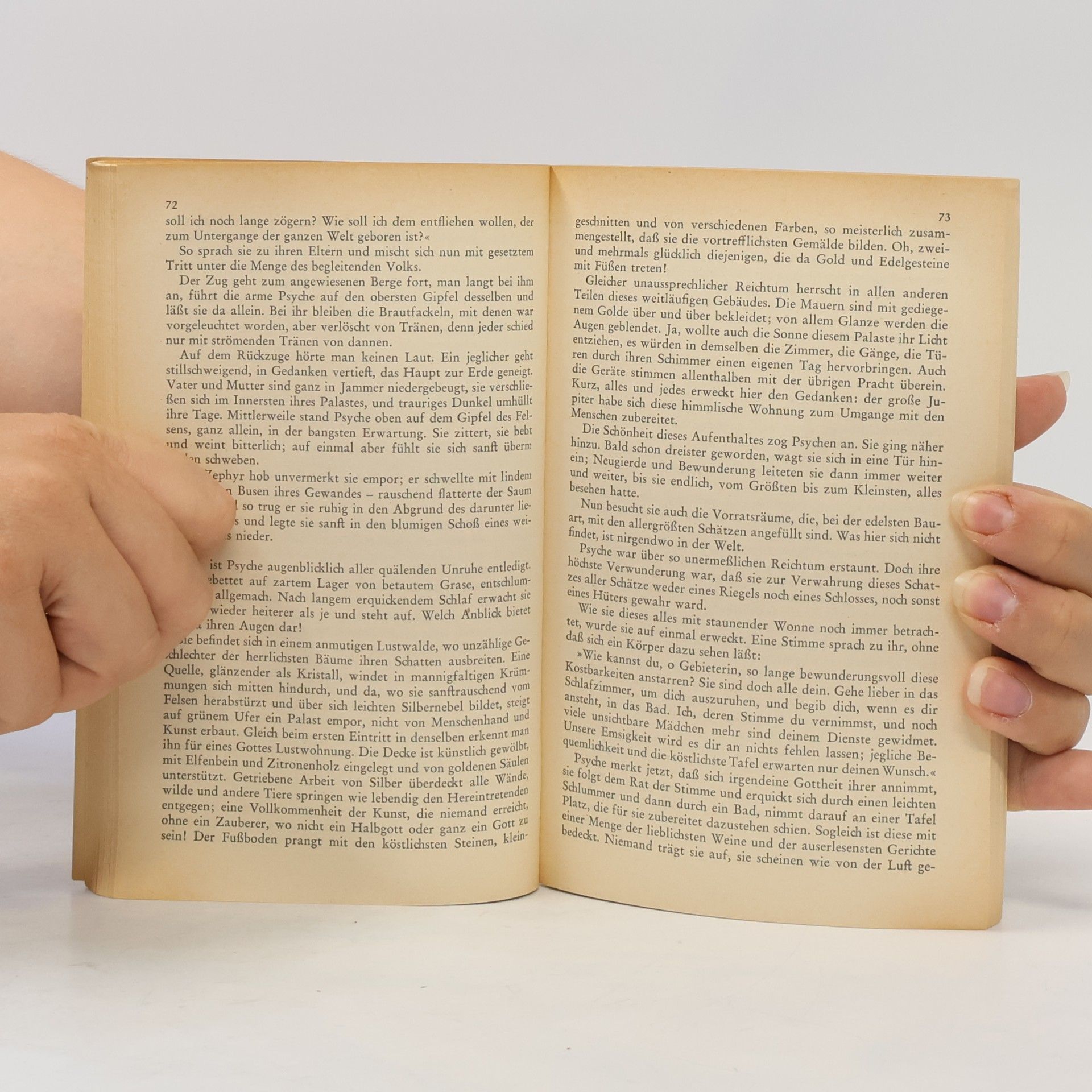 Kolektiv autorů Liebesgeschichten der Weltliteratur II