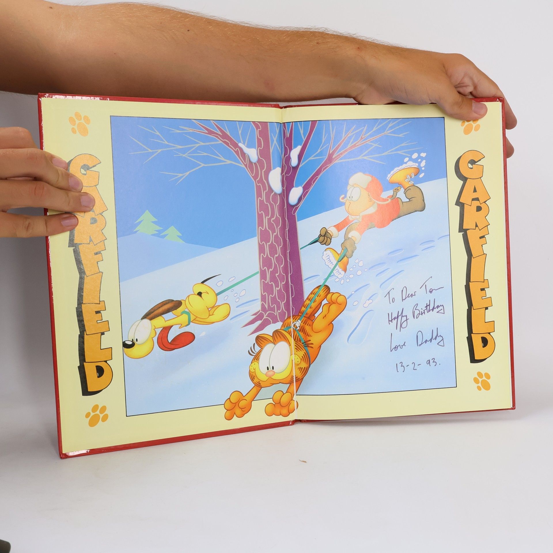 Jim Davis Garfield: Annual 1993