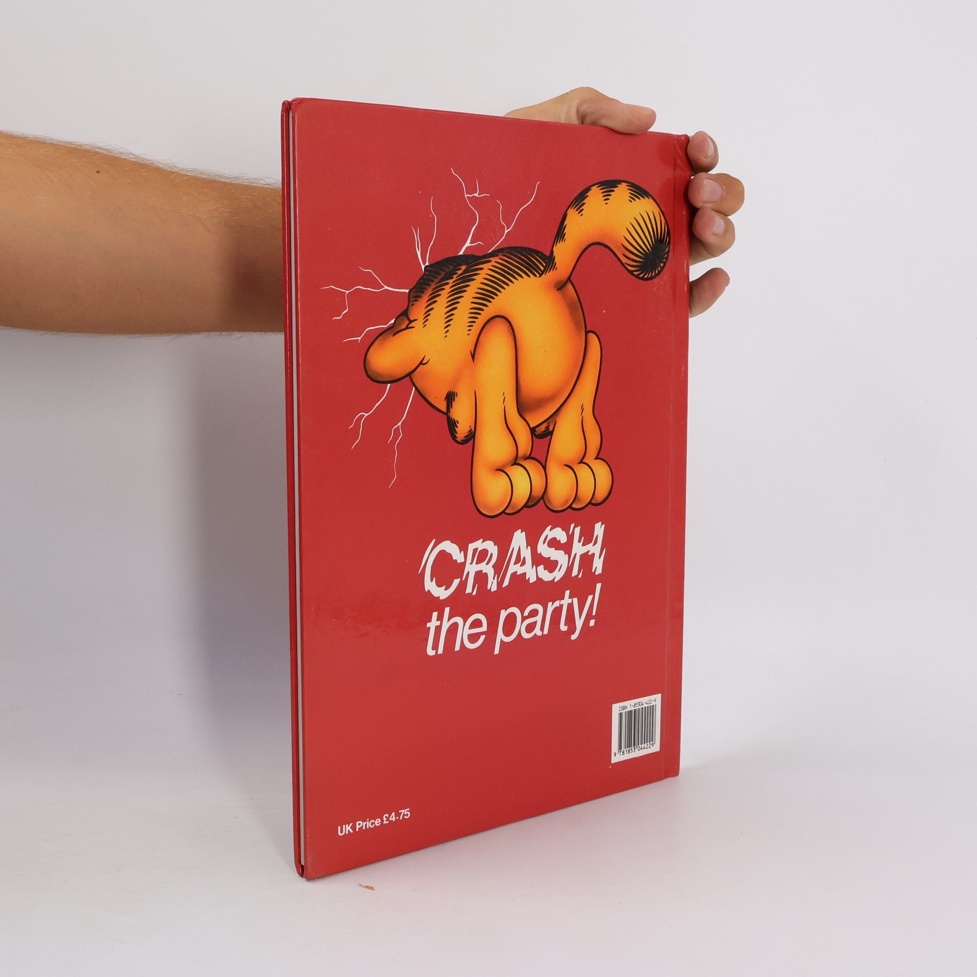 Jim Davis Garfield: Annual 1993