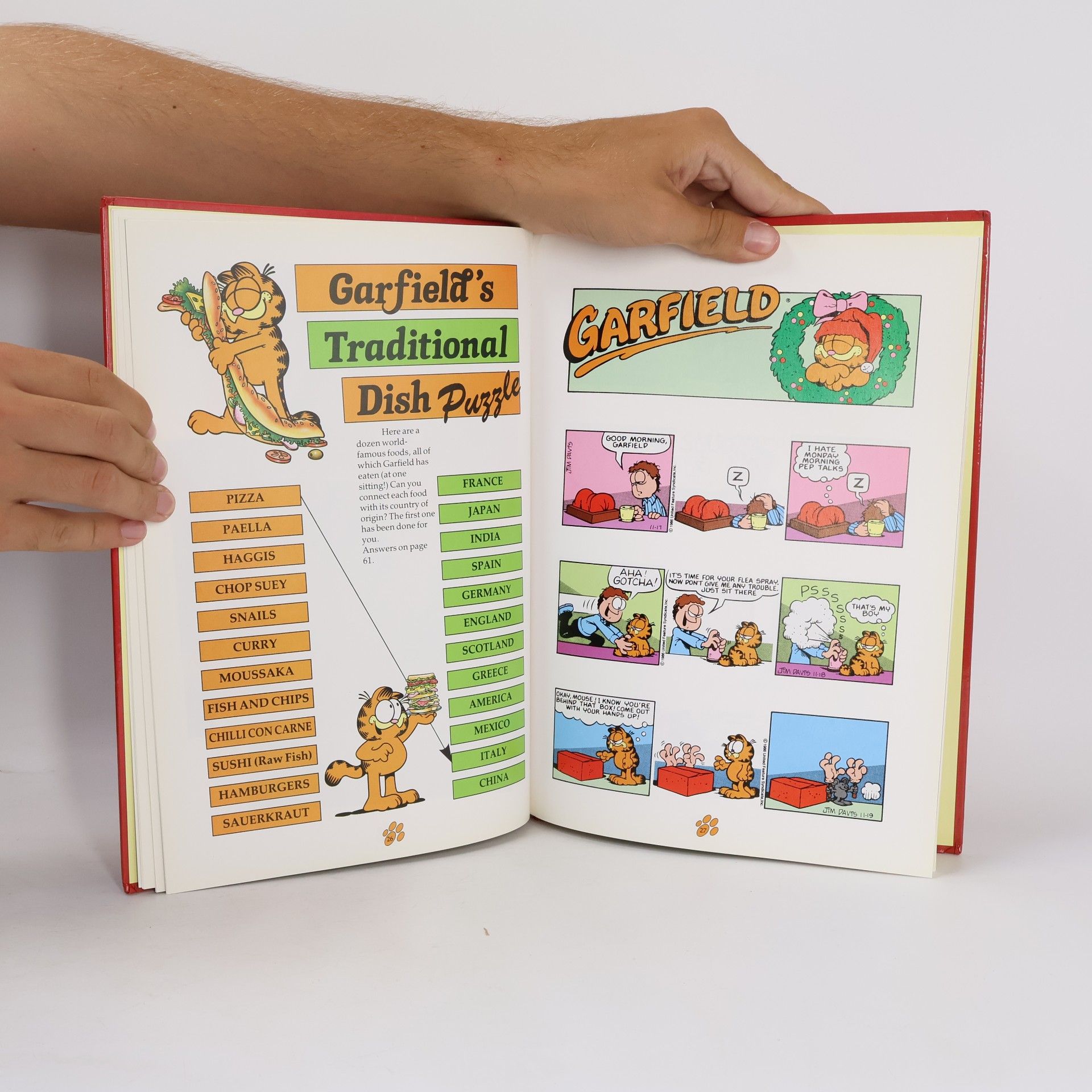 Jim Davis Garfield: Annual 1993