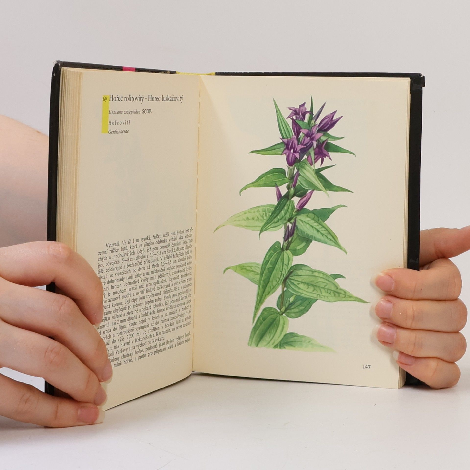Otto Ušák Kapesní atlas rostlin